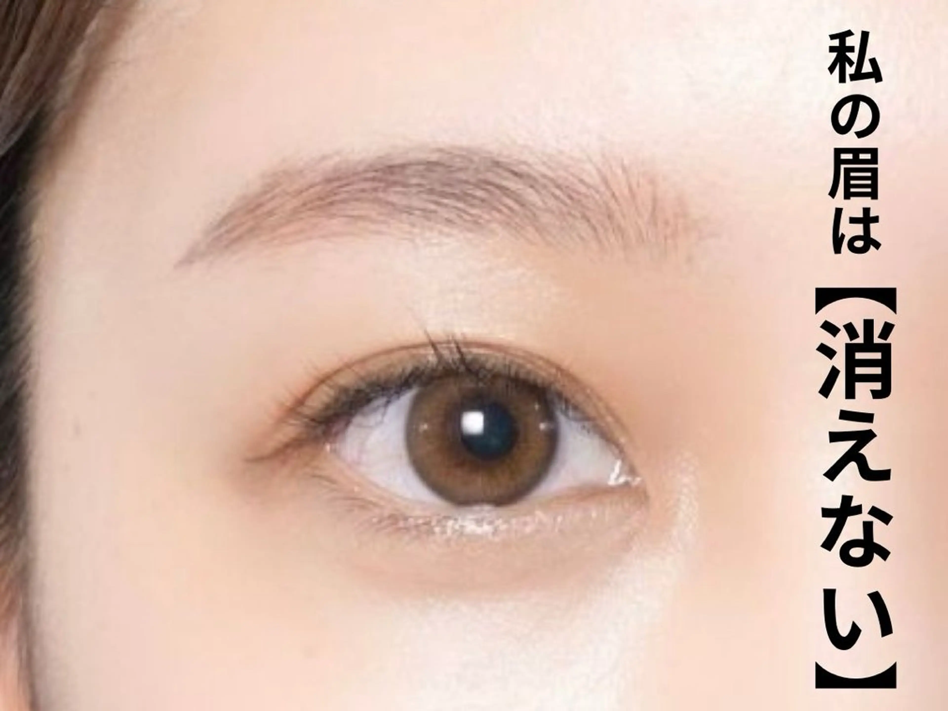 🌿私の眉は消えない【ハーブタンニングアイブロウPRO】の写真