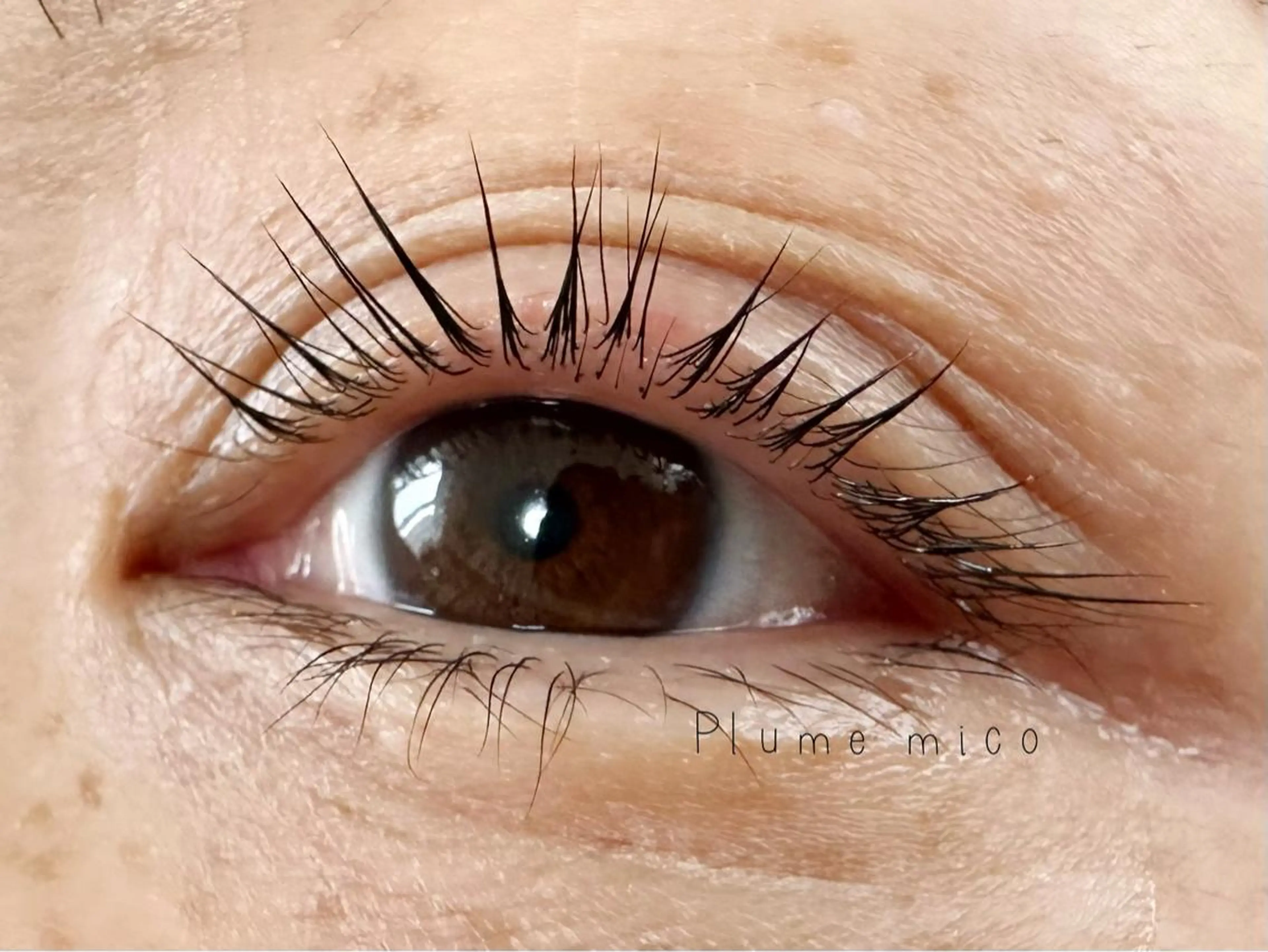 マツエク・マツパ マツパ Plume micoのマツエク・マツパデザイン