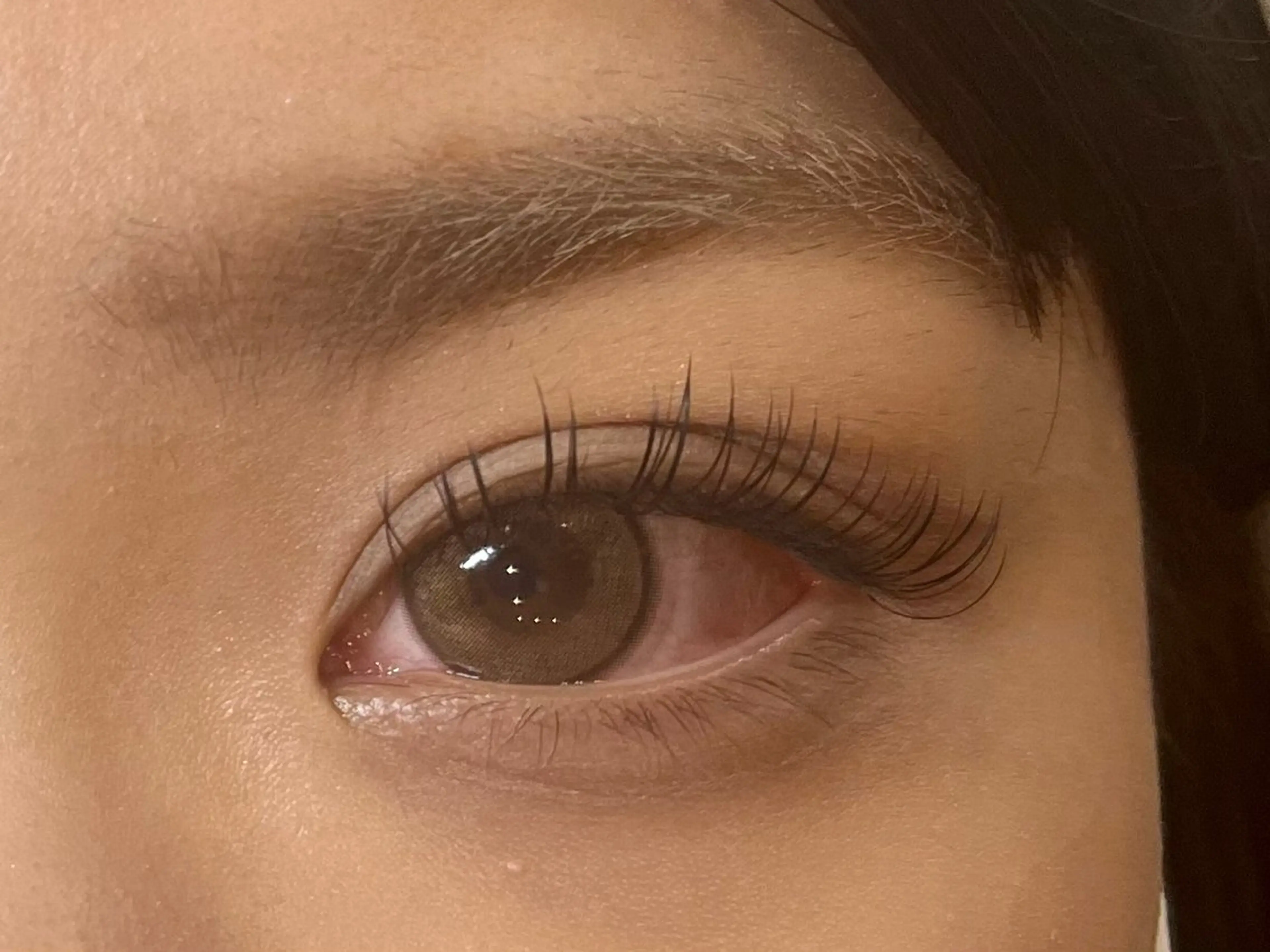 LED フラット 120本の写真