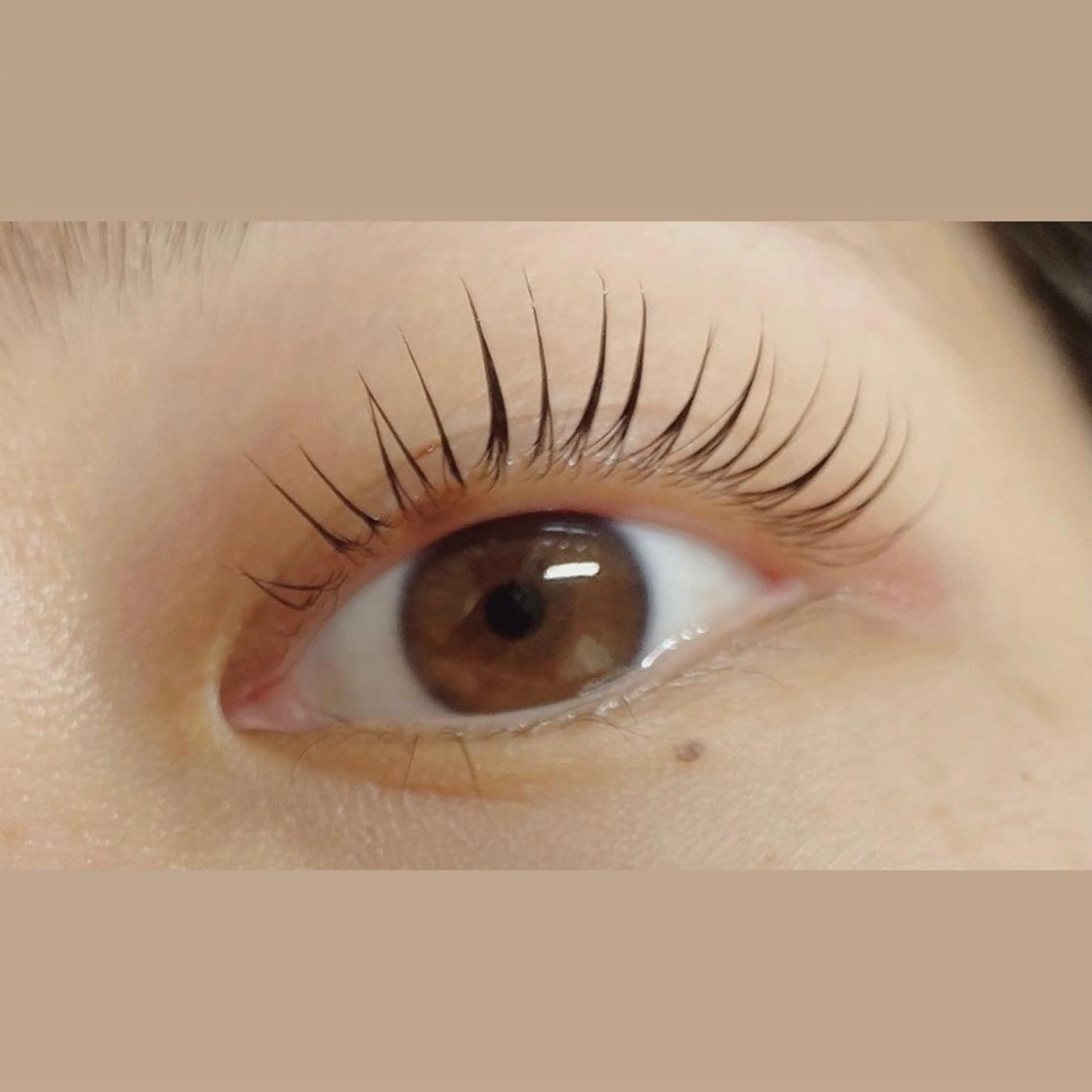 マツエク・マツパ まつげパーマ マツパ eyelash clear池袋のマツエク・マツパデザイン
