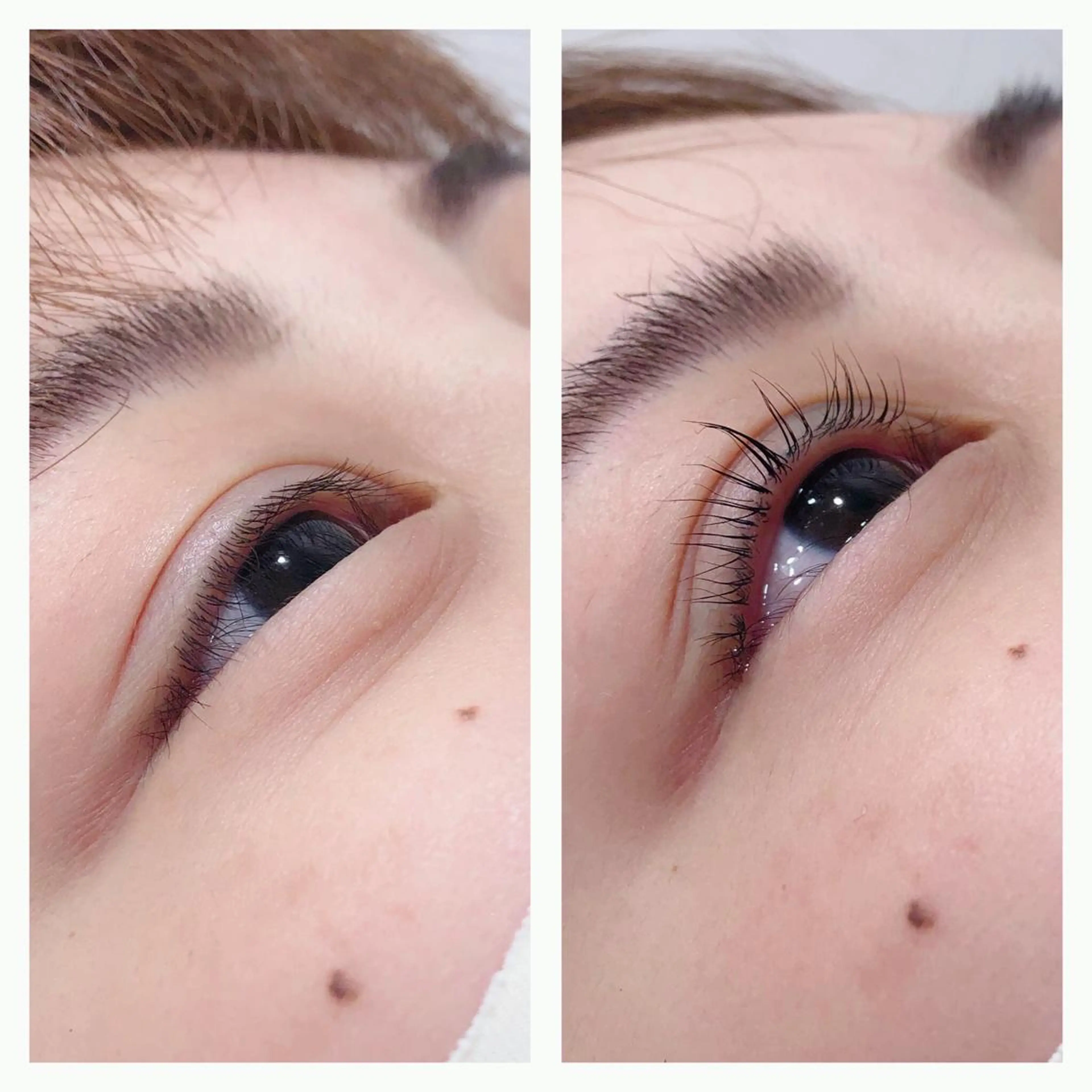 マツエク・マツパ マツパ まつパ/マツエク🤎 艶カラー/ゆり♡⃛のマツエク・マツパデザイン