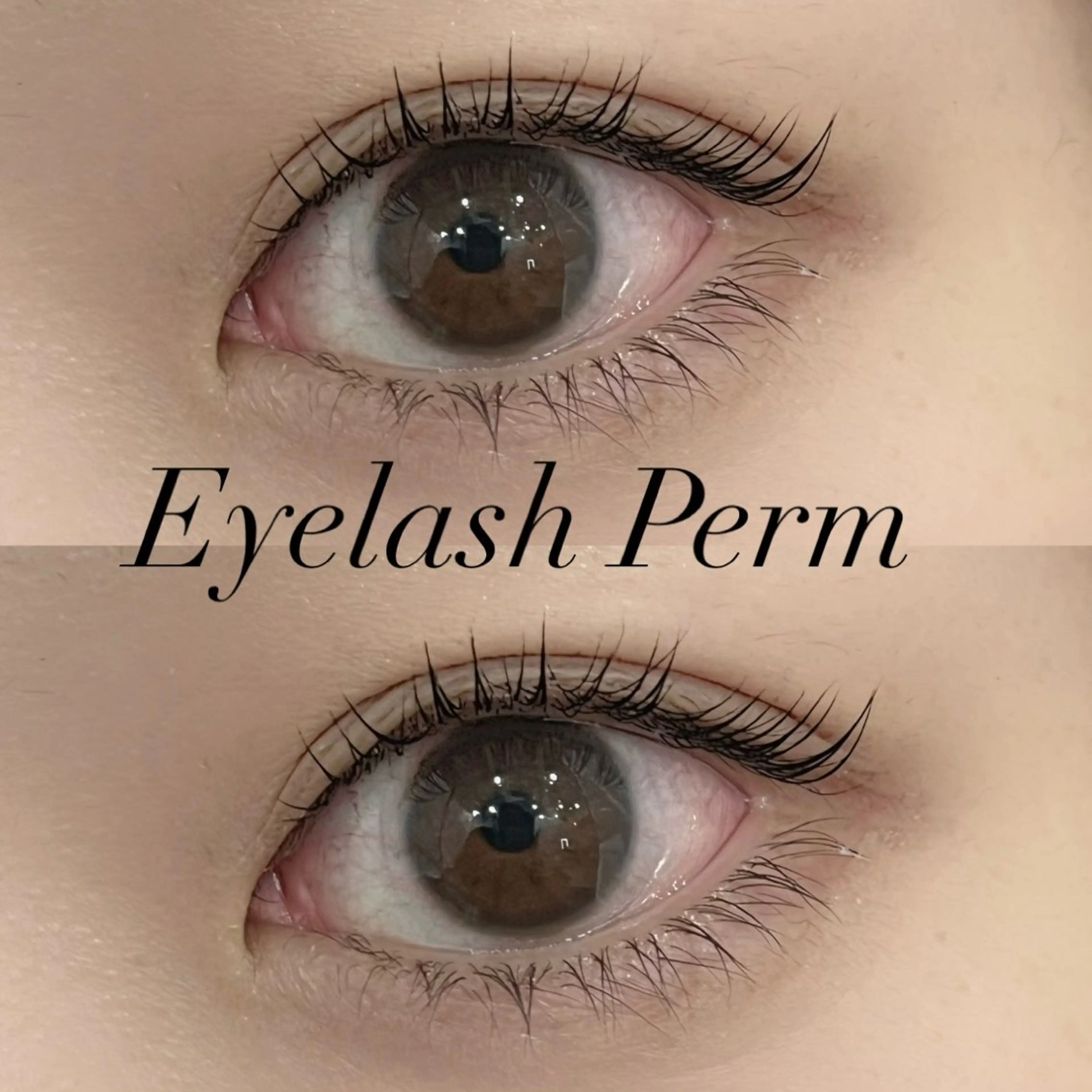 マツエク・マツパ マツパ share eyelash所属・share天王寺 KAHOのマツエク・マツパデザイン