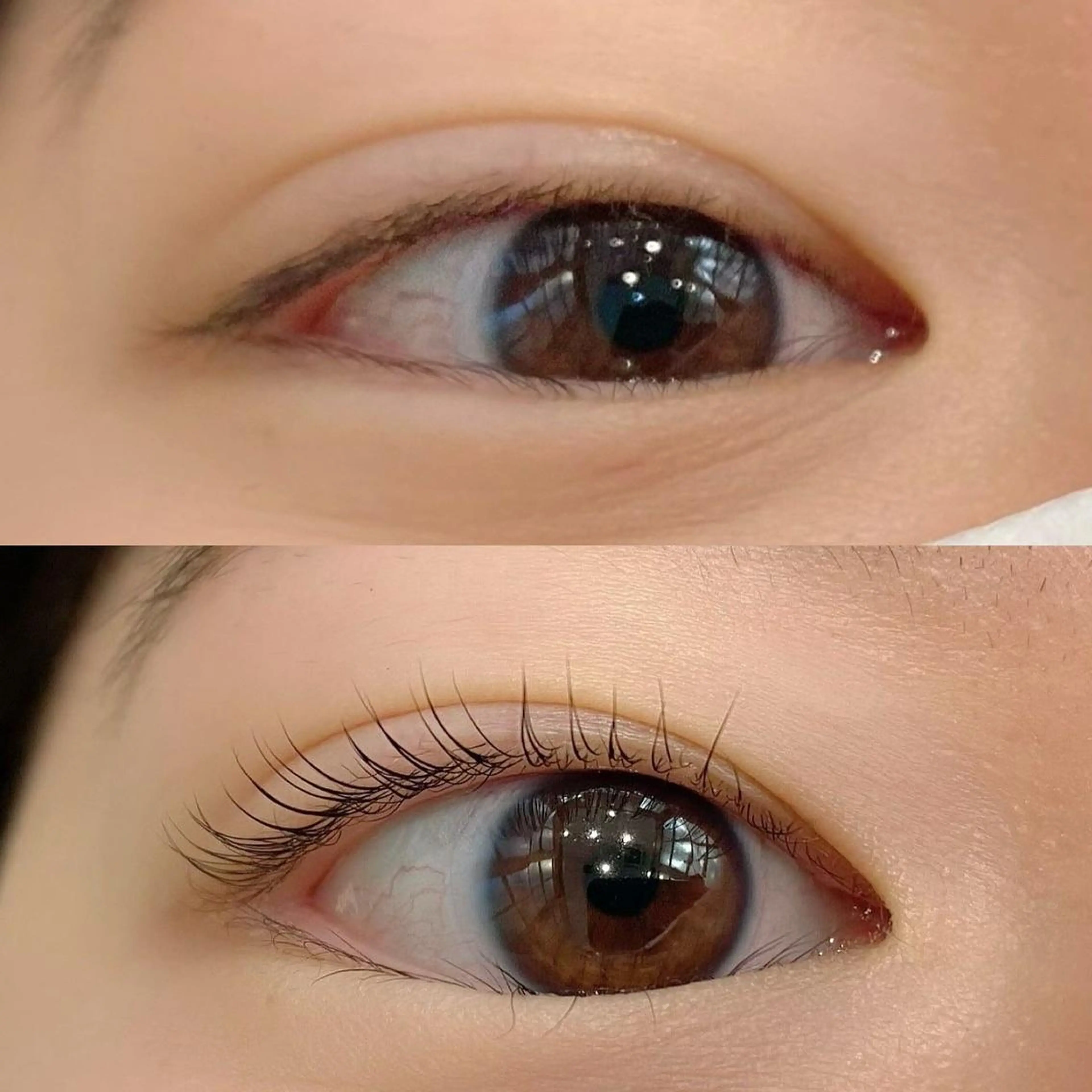 マツエク・マツパ KURUMI🦋 まつエクまつパ美眉のマツエク・マツパデザイン