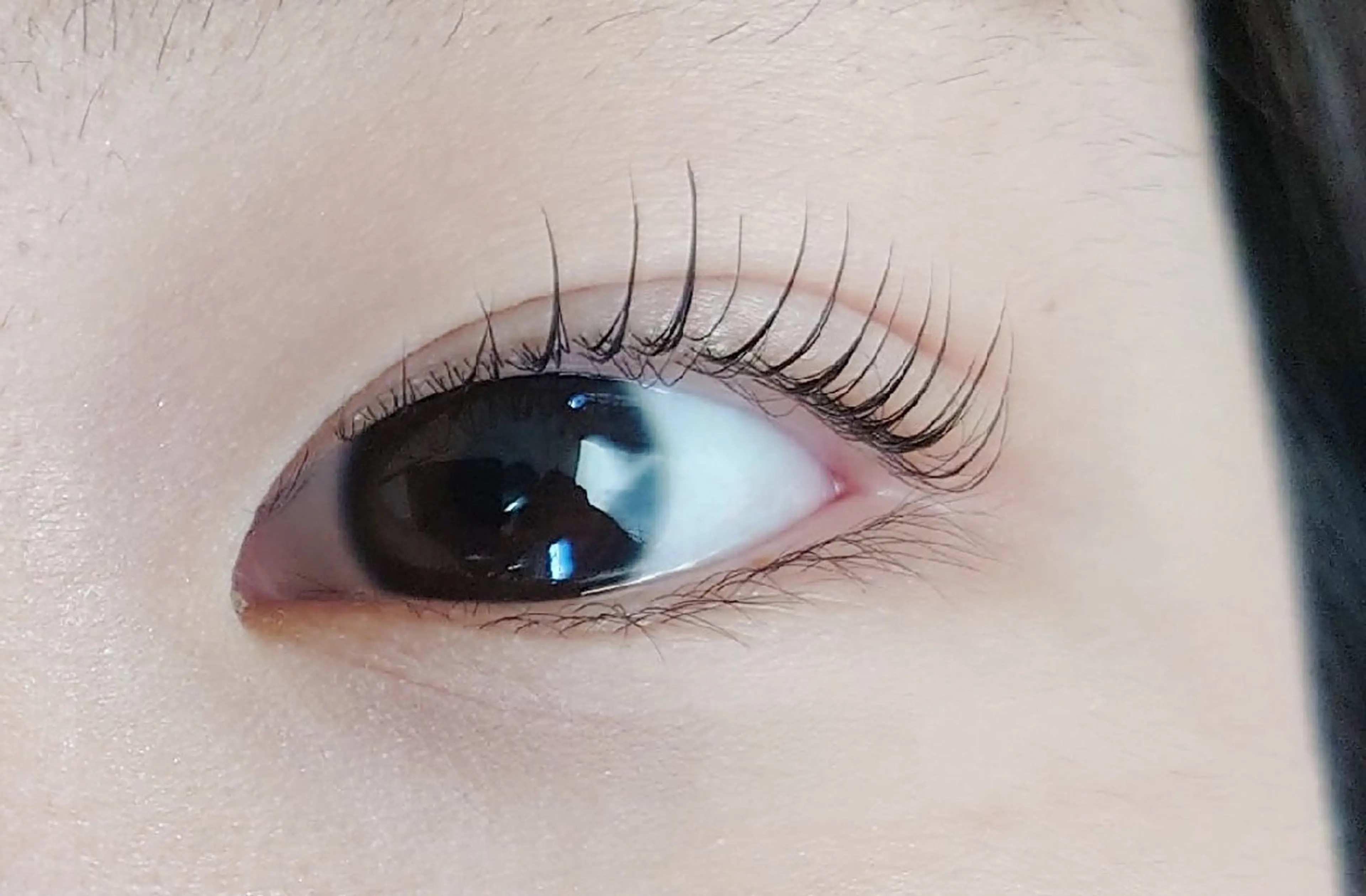 マツエク・マツパ ビューティーサロンMOMO所属・ビューティーサロン MOMOのマツエク・マツパデザイン