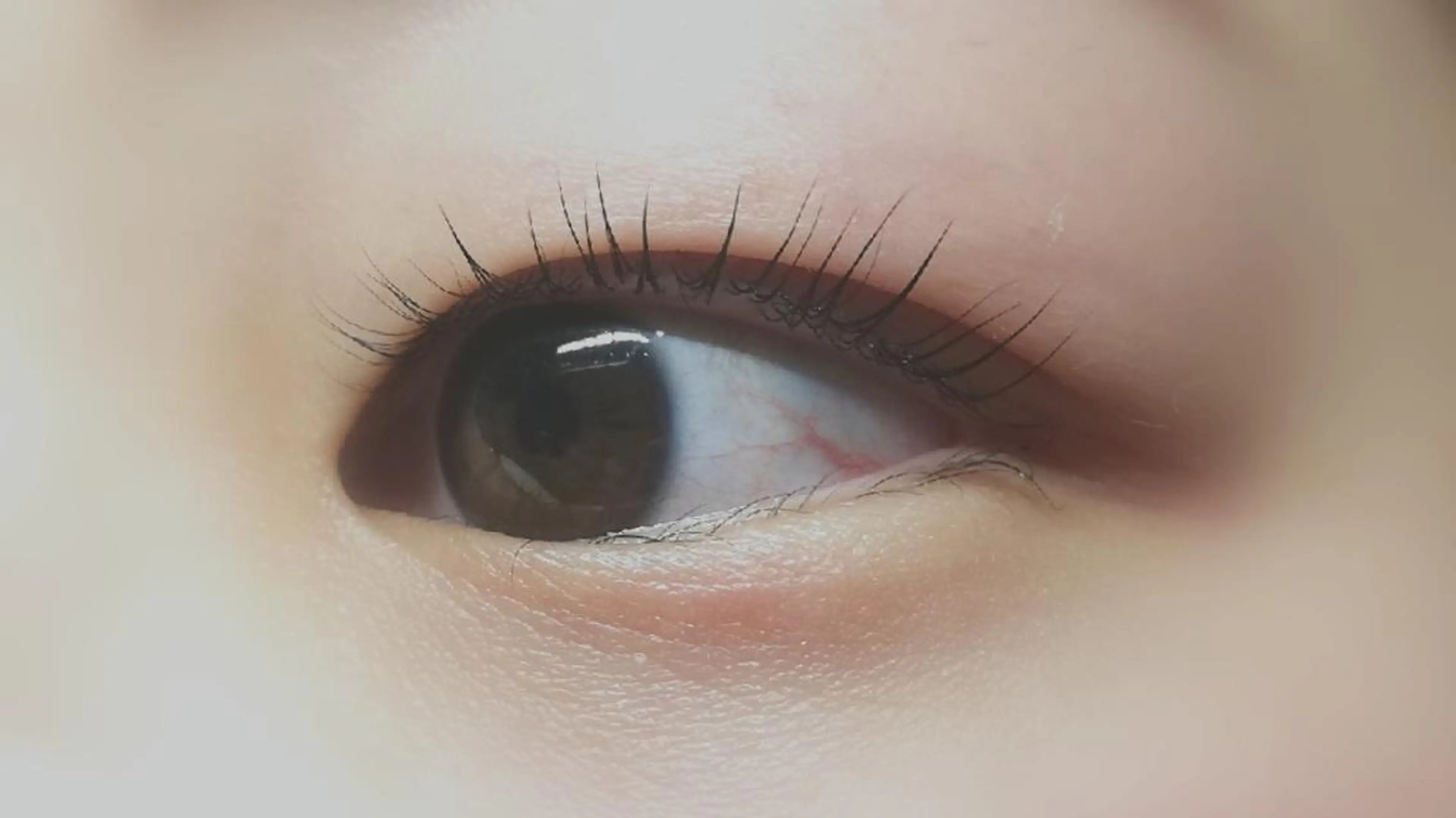 マツエク・マツパ 一重×まつ毛パーマ マツパ angelux 所属・💎angelux 💎まつげパーマのマツエク・マツパデザイン