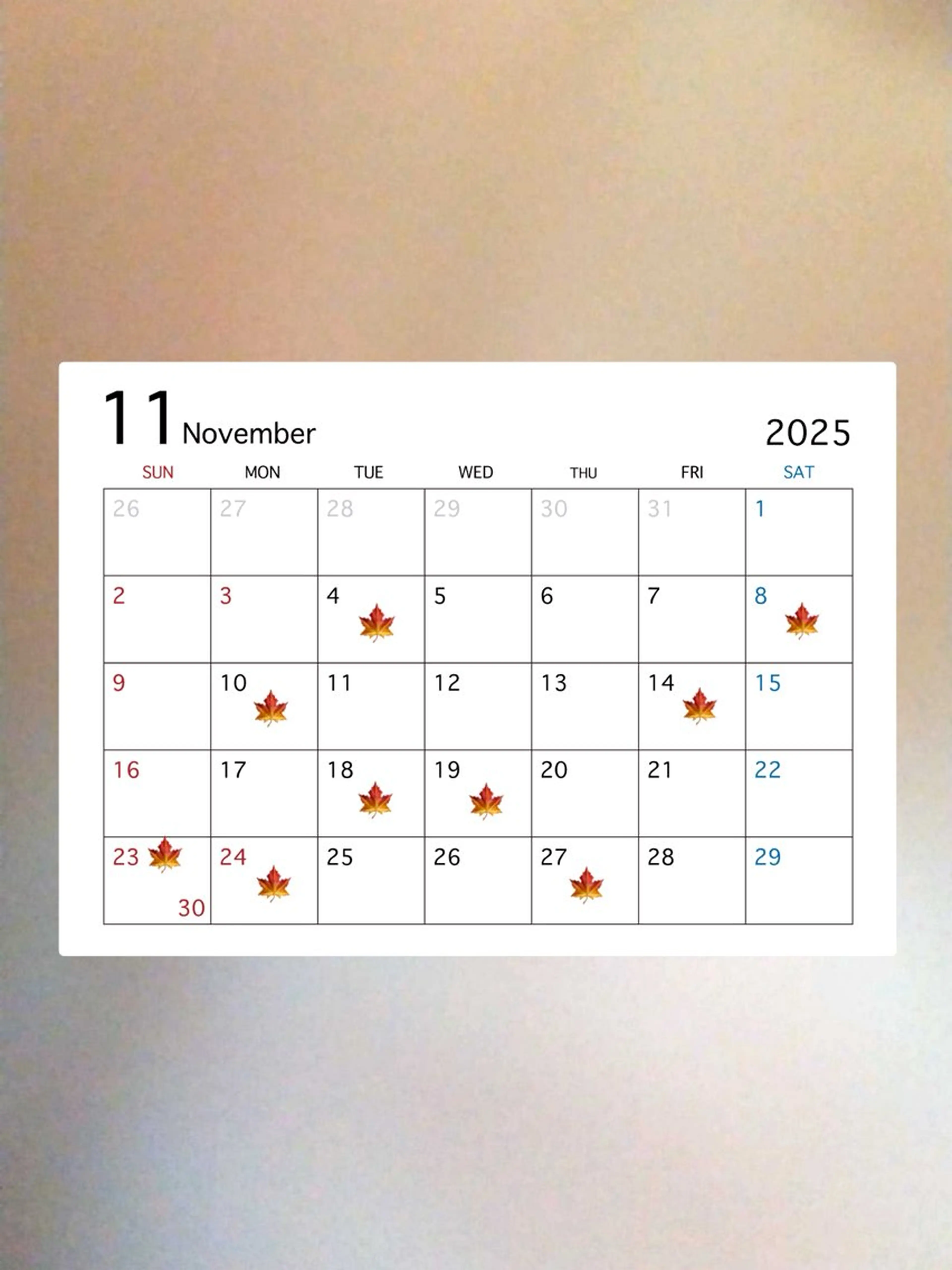 アイブロウ ワックス脱毛 眉カット その他(アイブロウ) ナチュラル眉 💫Nozomiの眉毛・アイブロウイメージ