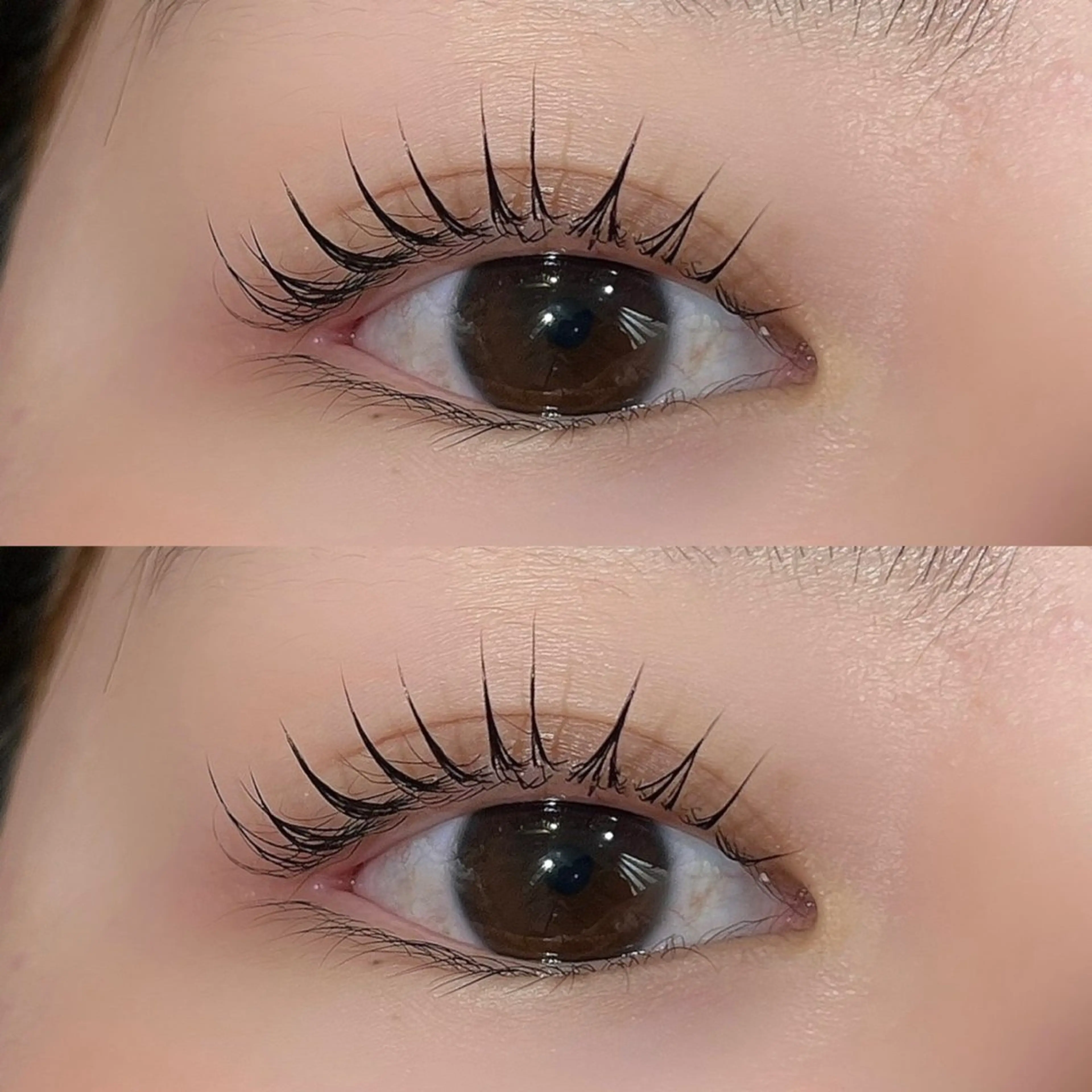 マツエク・マツパ 浅草橋 Ai ⛓️🖤坂本のヘアスタイル