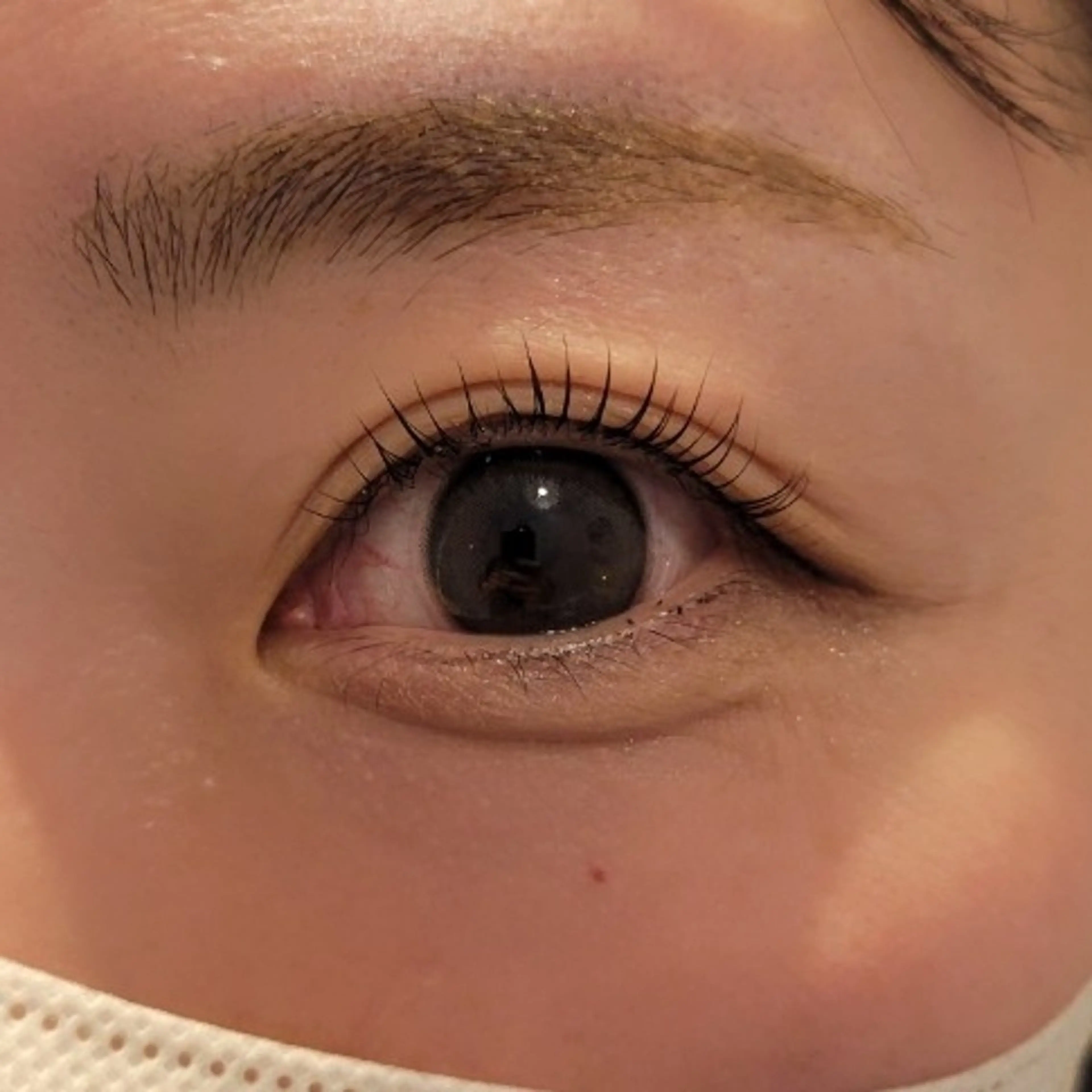 マツエク・マツパ Kikuchi Masamiの眉毛・アイブロウイメージ