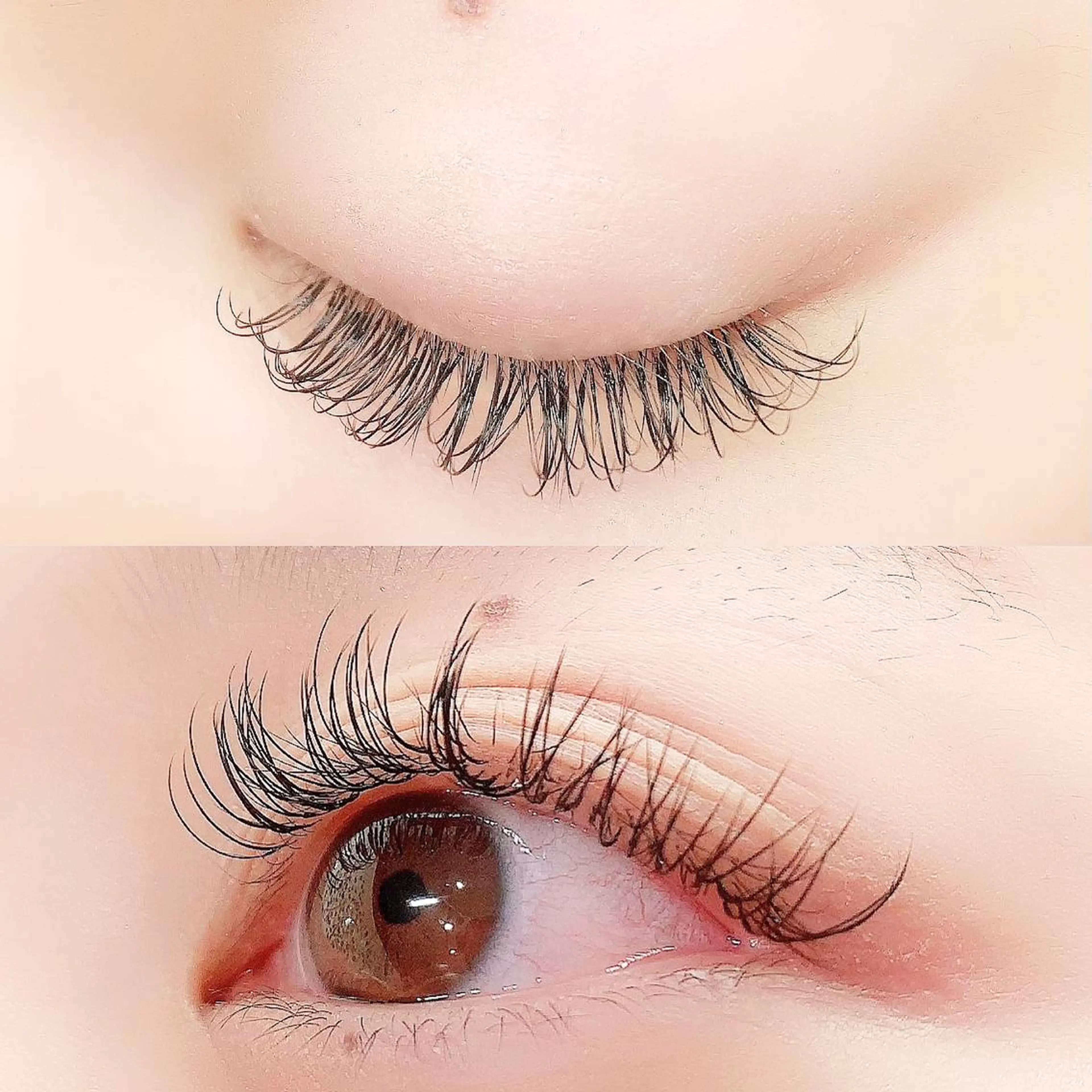 マツエク・マツパ フラットラッシュ ナチュラル マツエク Lanhr所属・【Lanhr】 🕊aya🕊のマツエク・マツパデザイン