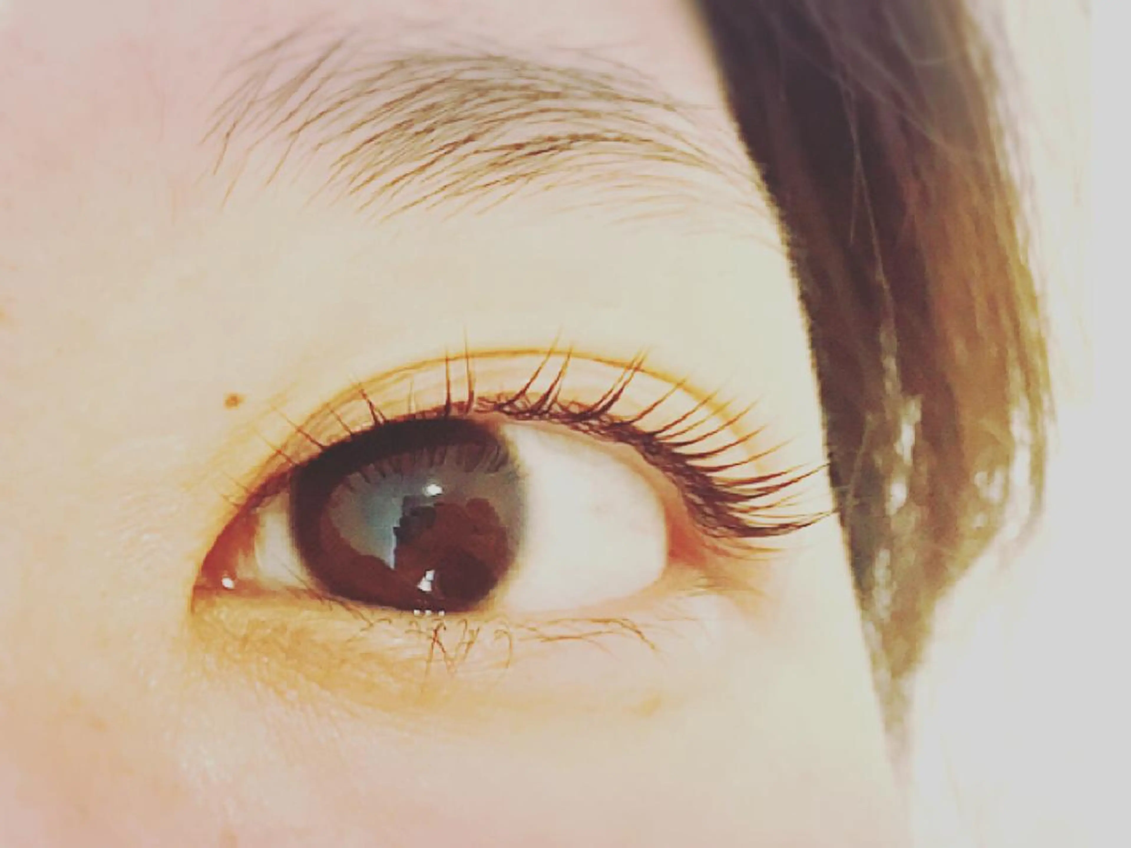 パーマ マツエク・マツパ パリジェンヌラッシュリフト まつげと眉のお店 Nerine【ネリネ】所属・まつげと眉のお店 Nerineのマツエク・マツパデザイン