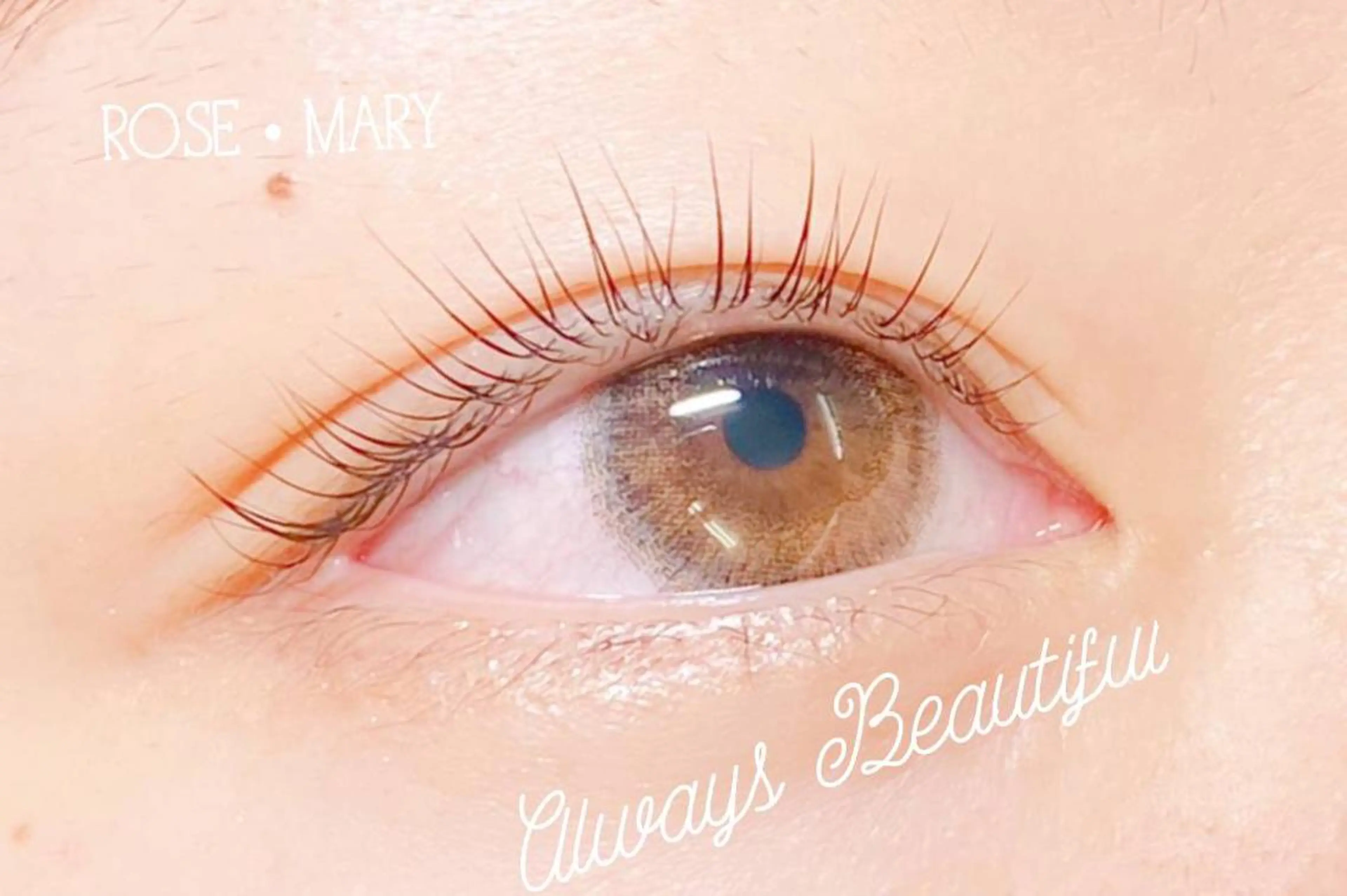 マツエク・マツパ マツパ ROSE MARY 大竹のマツエク・マツパデザイン