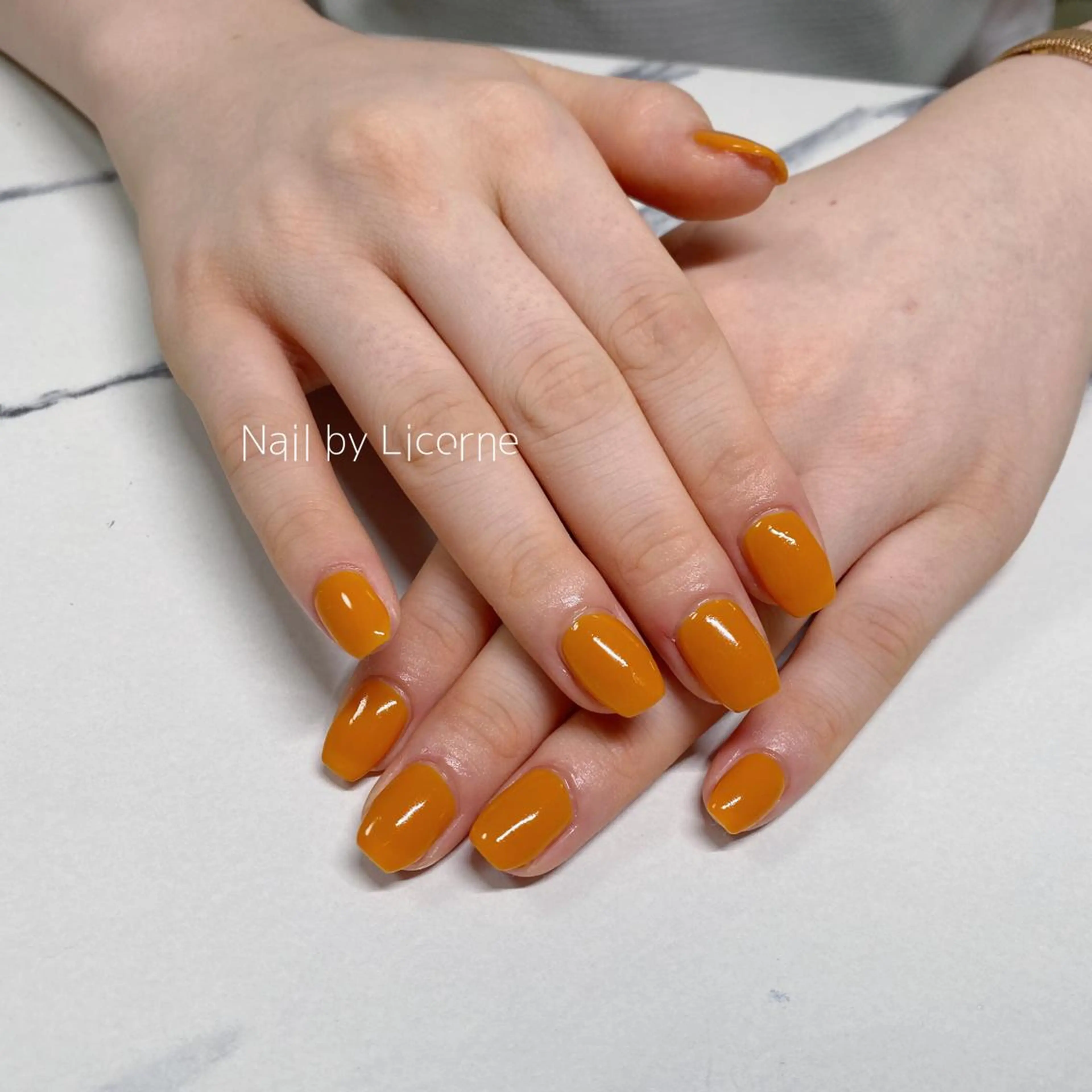 ネイル アートネイル オーロラネイル フレンチネイル 氷ネイル・うるうるネイル マグネットネイル ハンドネイル Nail by Licorneのネイルデザイン