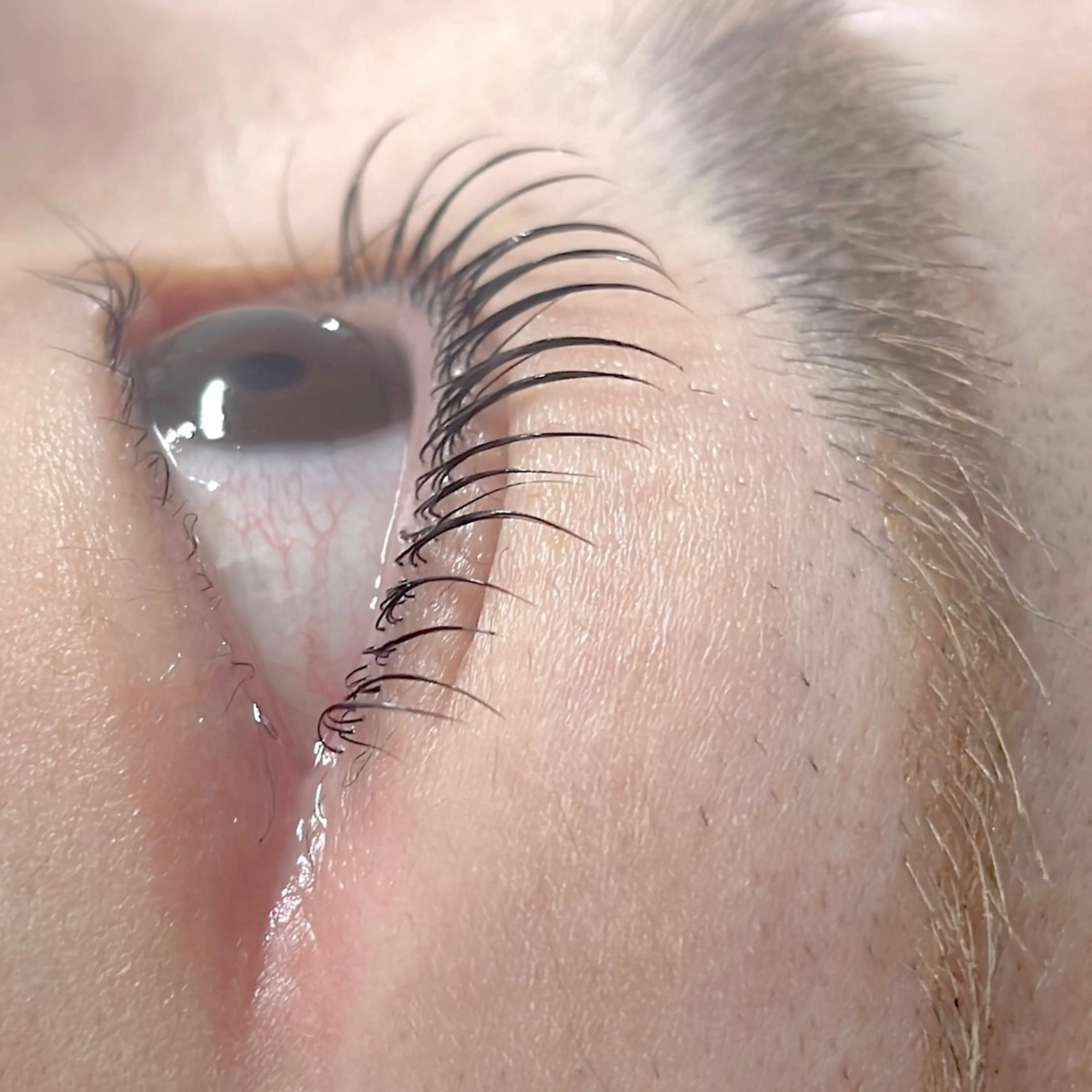 マツエク・マツパ Pearl miyuのマツエク・マツパデザイン