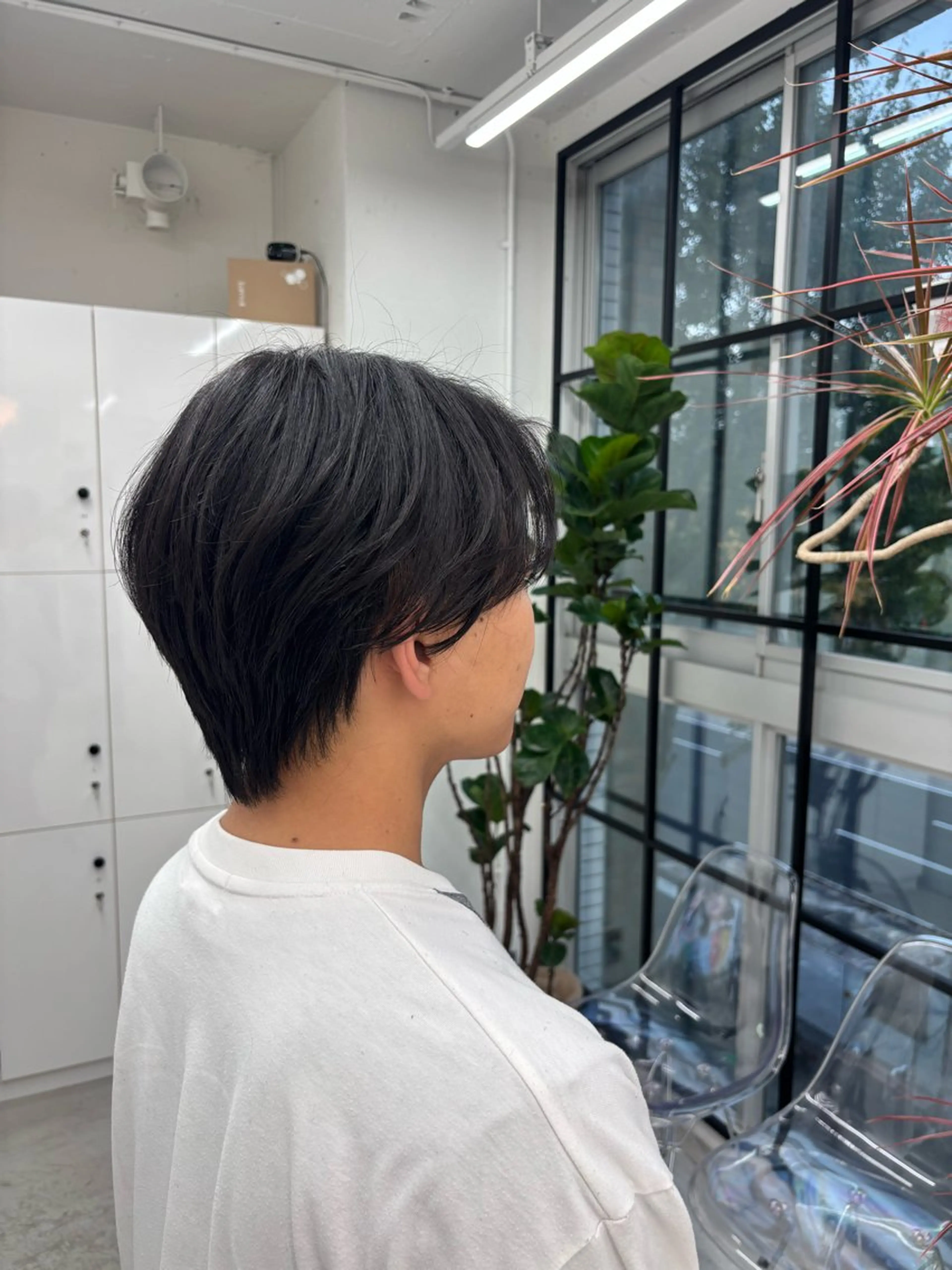 メンズ マッシュウルフ マッシュ メンズウルフカット ウルフカット 🌼あいり🌼 JILLSTUDIOのヘアスタイル