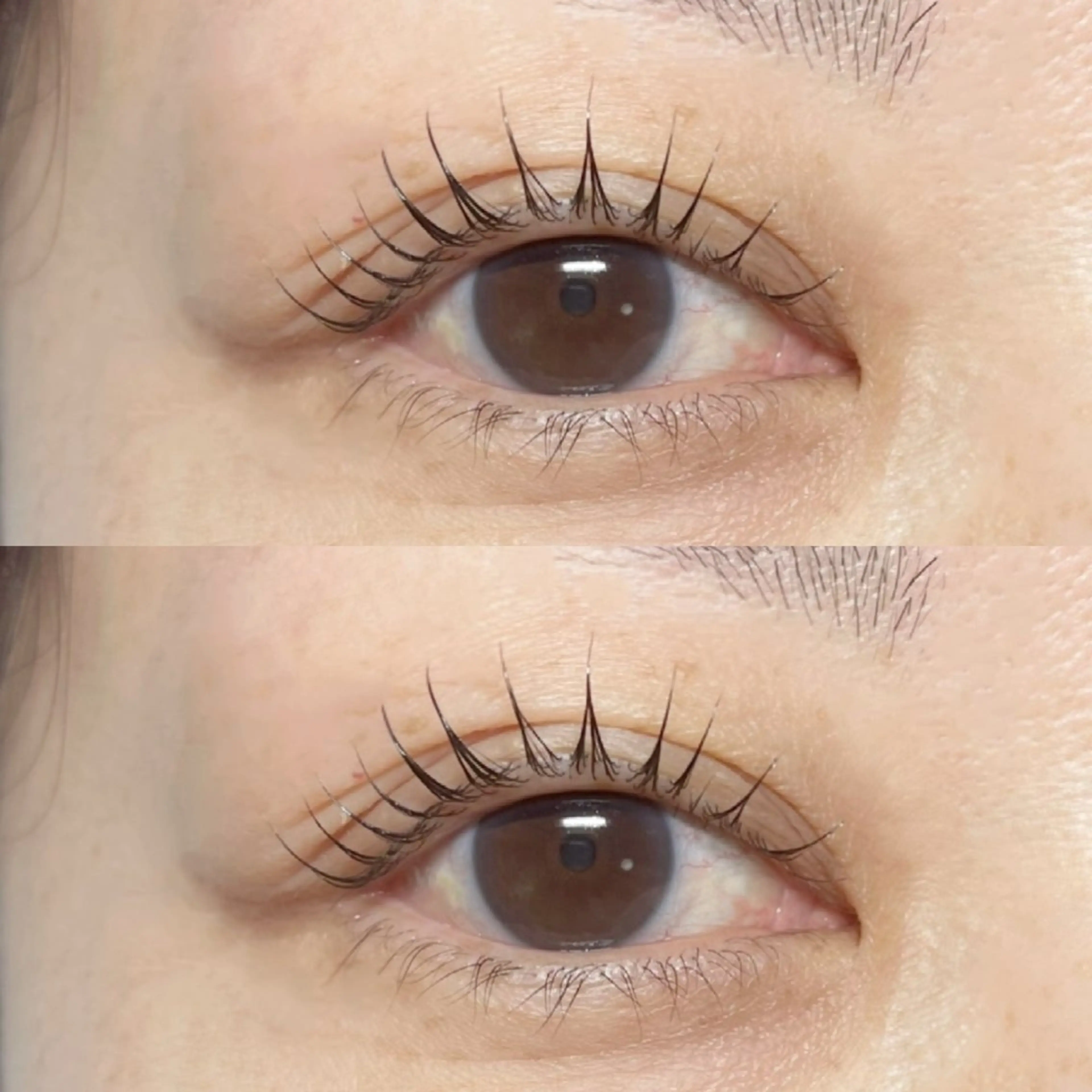 マツエク・マツパ ARPEGE 溝の口所属・Eyelash ARPEGE 溝の口のマツエク・マツパデザイン