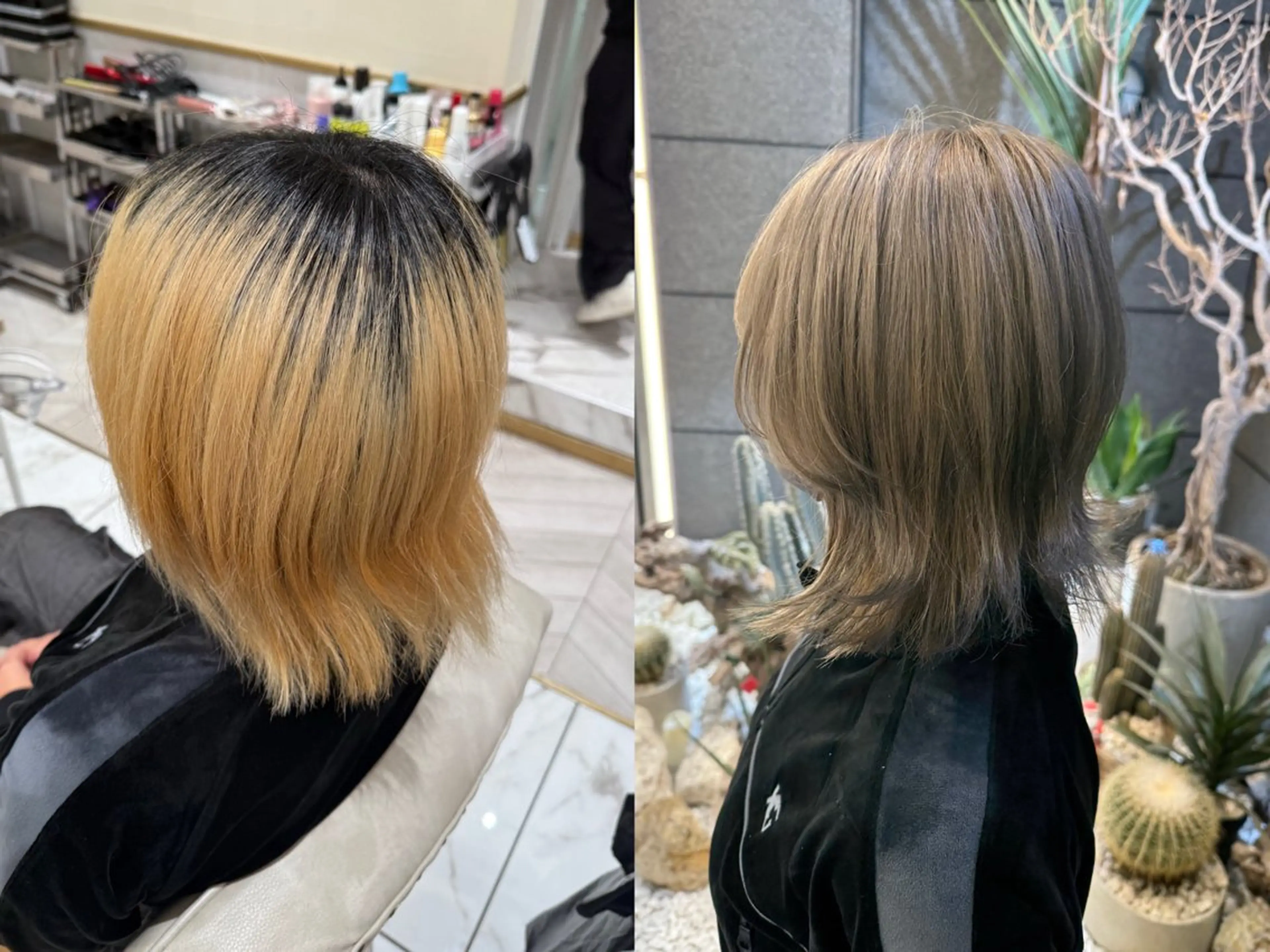 カラー 似合わせNo.1/ sᴀᴋᴜʀᴀ🌸のヘアスタイル