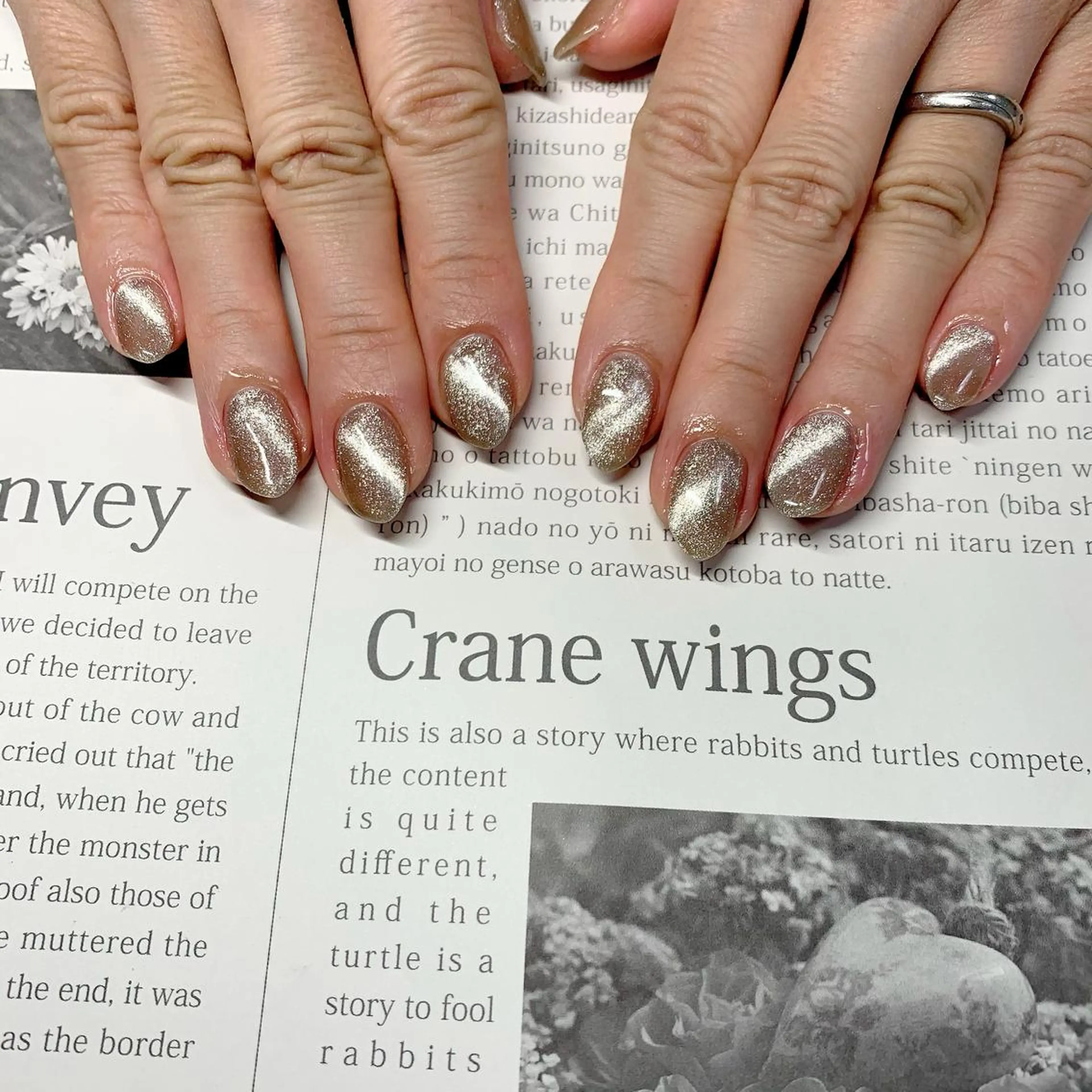 ネイル マグネットネイル ハンドネイル Mellow所属・Mellow Nailのネイルデザイン