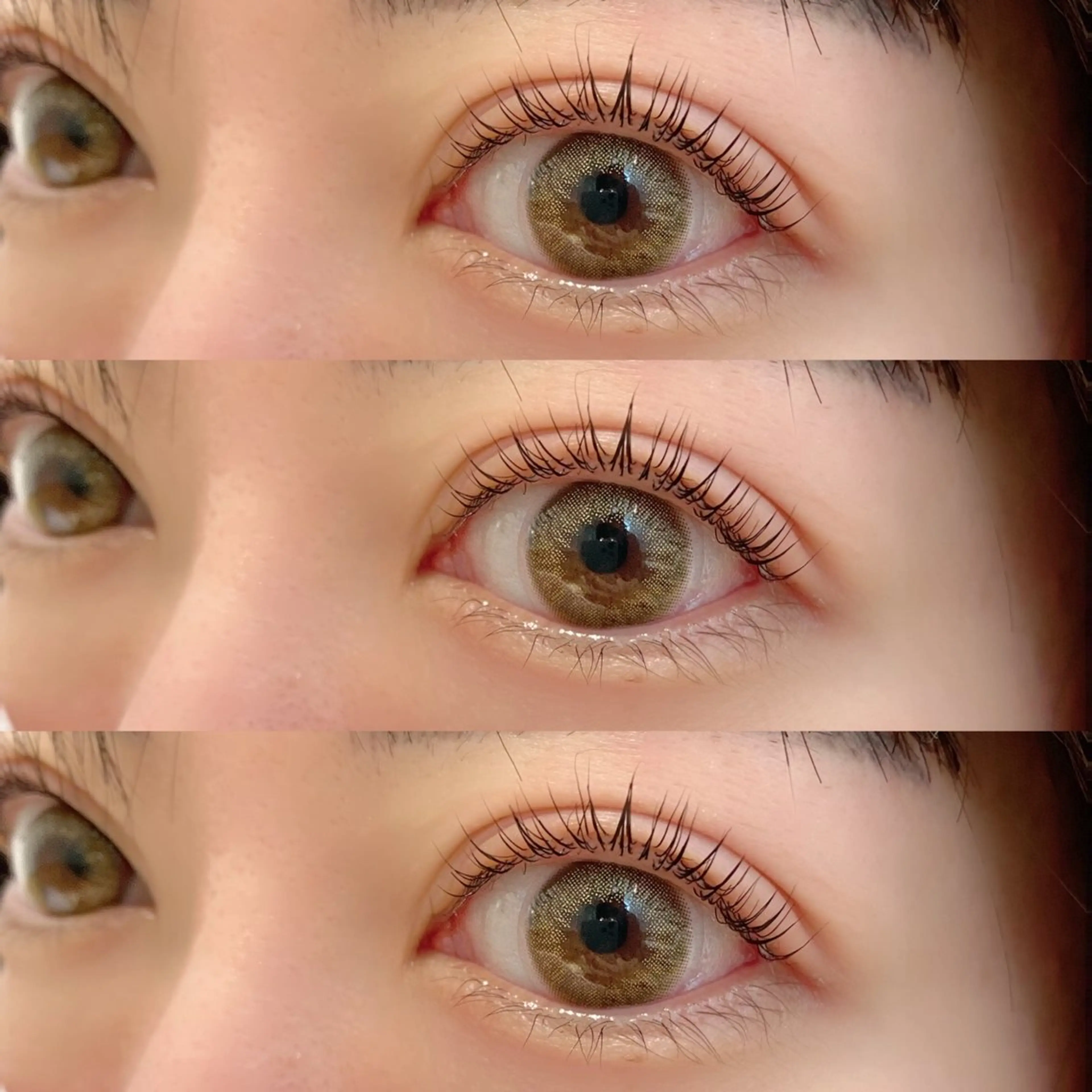 ãããšã¯ã»ããã EARTH âð€ ã·ã©ã€ã·ã®ãããšã¯ã»ããããã¶ã€ã³