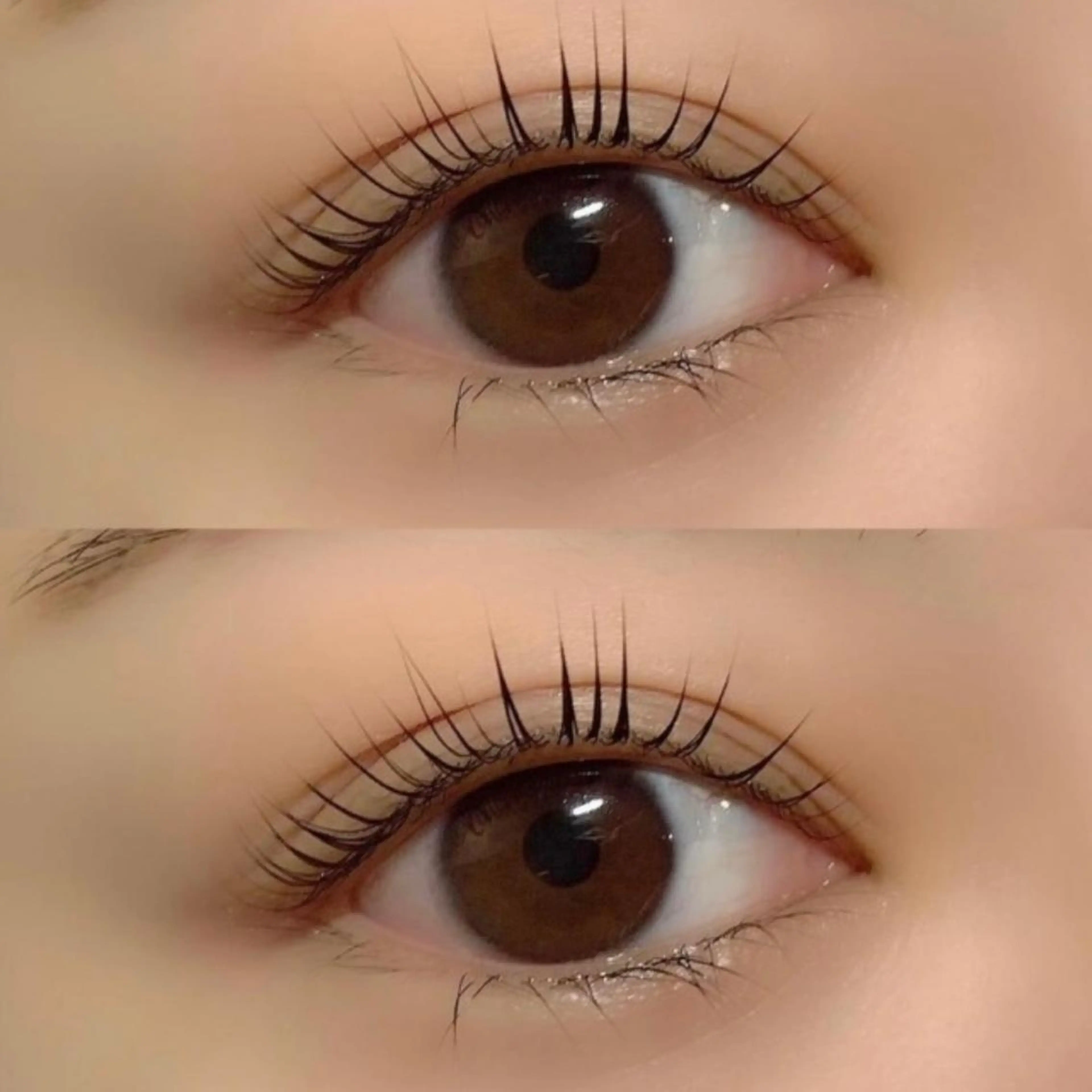 パリジェンヌの写真