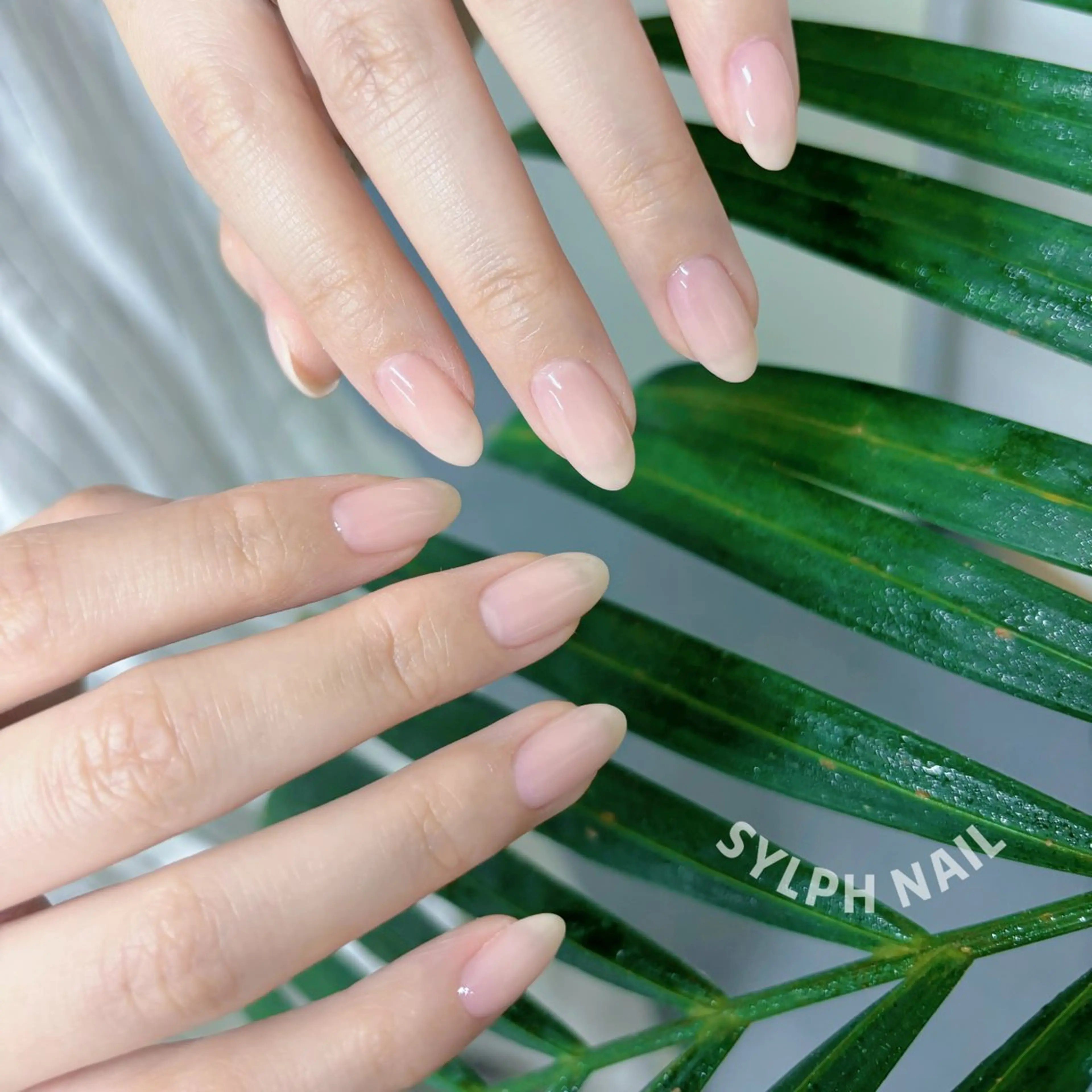 ネイル オーロラネイル フレンチネイル グラデーション 韓国ネイル ラメ(グリッター) ハンドネイル ハンドケア Trend Nail シルフのネイルデザイン