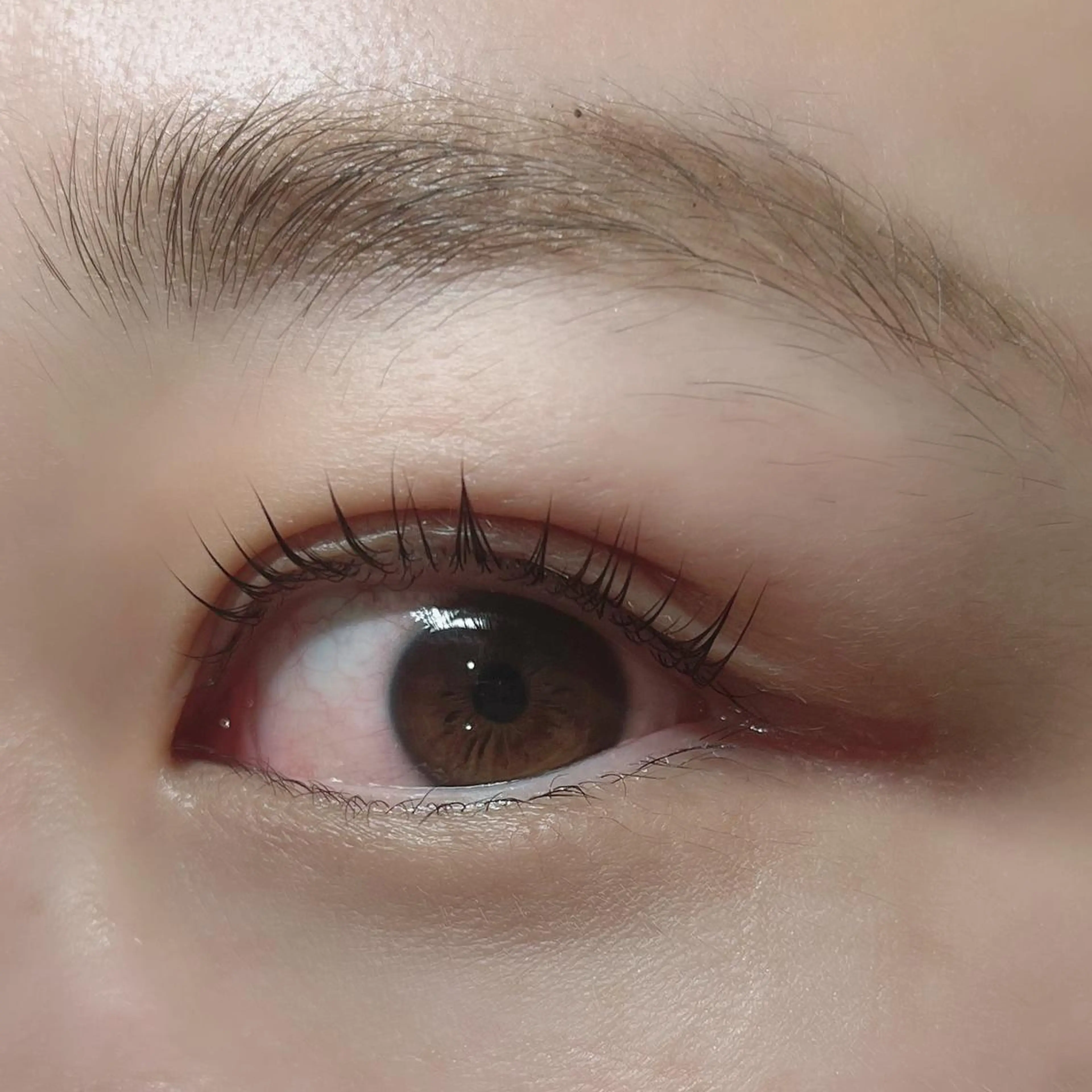 マツエク・マツパ パリジェンヌラッシュリフト マツパ Veil ayakaのマツエク・マツパデザイン