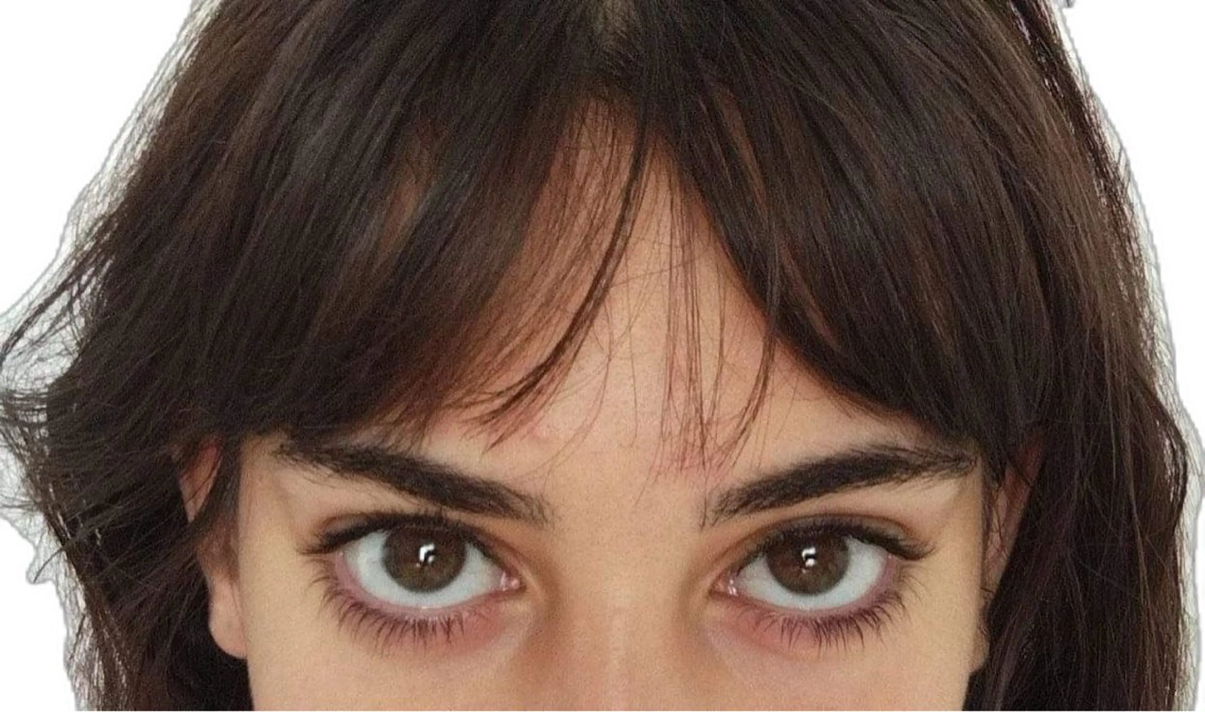 【土日祝夜限定】bang straight perm🦤🐾の写真