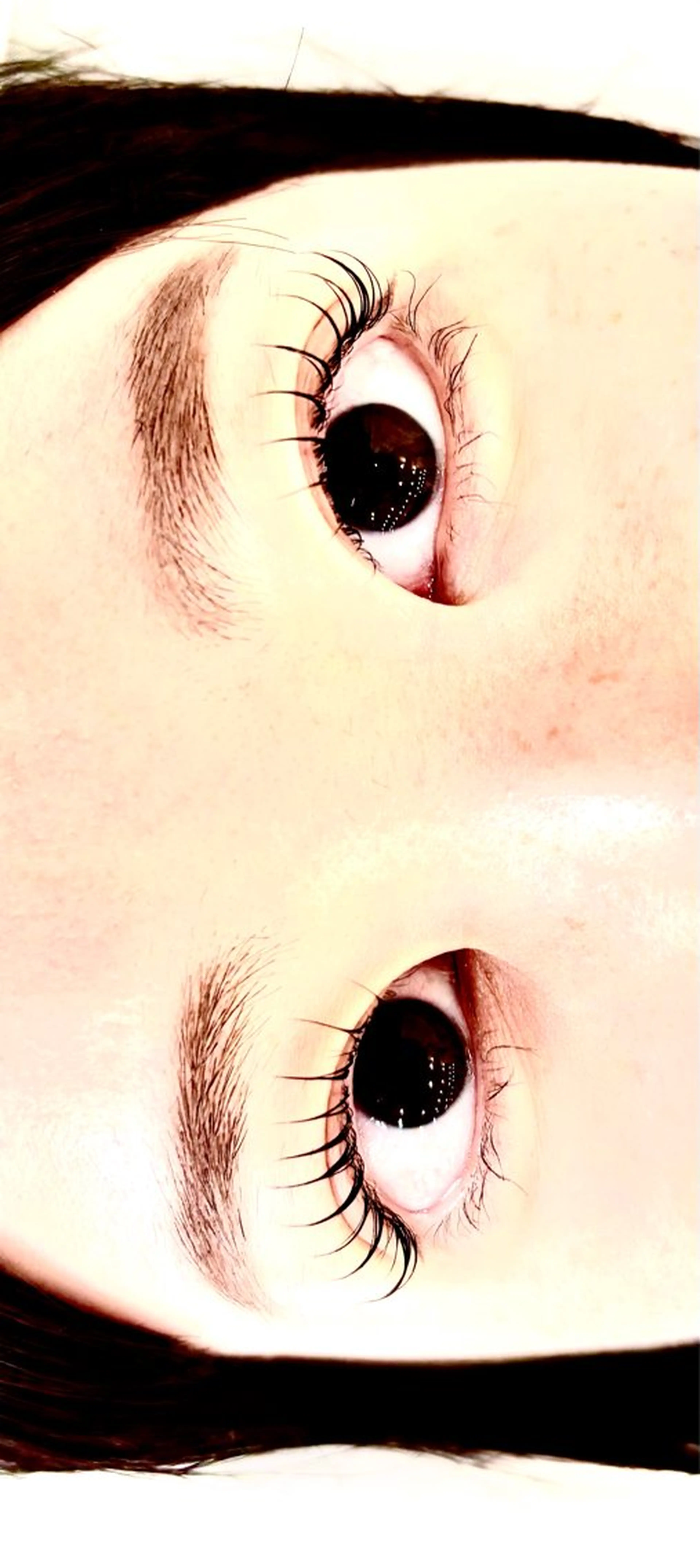 マツエク・マツパ マツパ マリーテレジア FUJIMOTOのマツエク・マツパデザイン