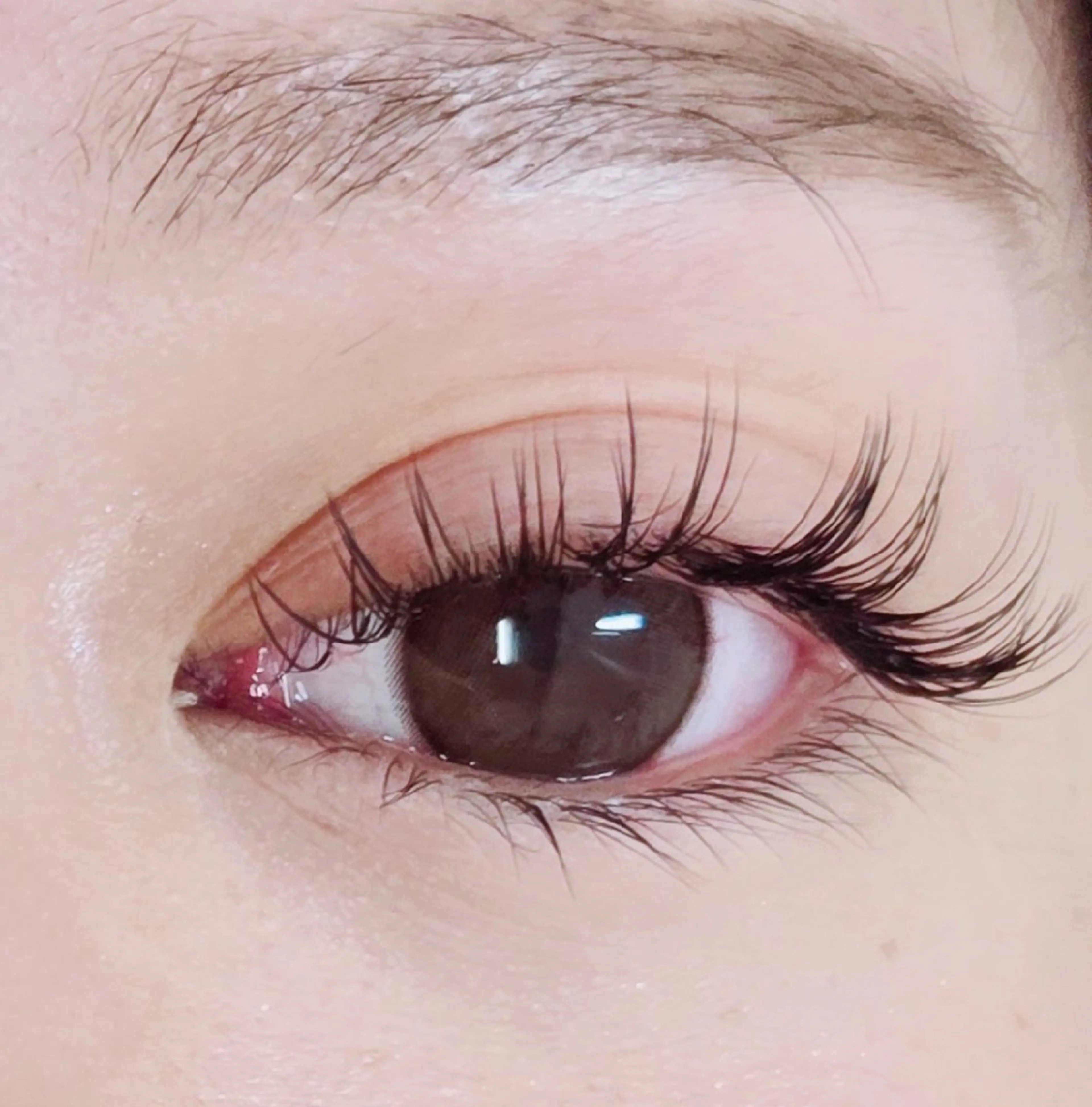 LEDエクステ＆パーマ🩷100本🥰の写真