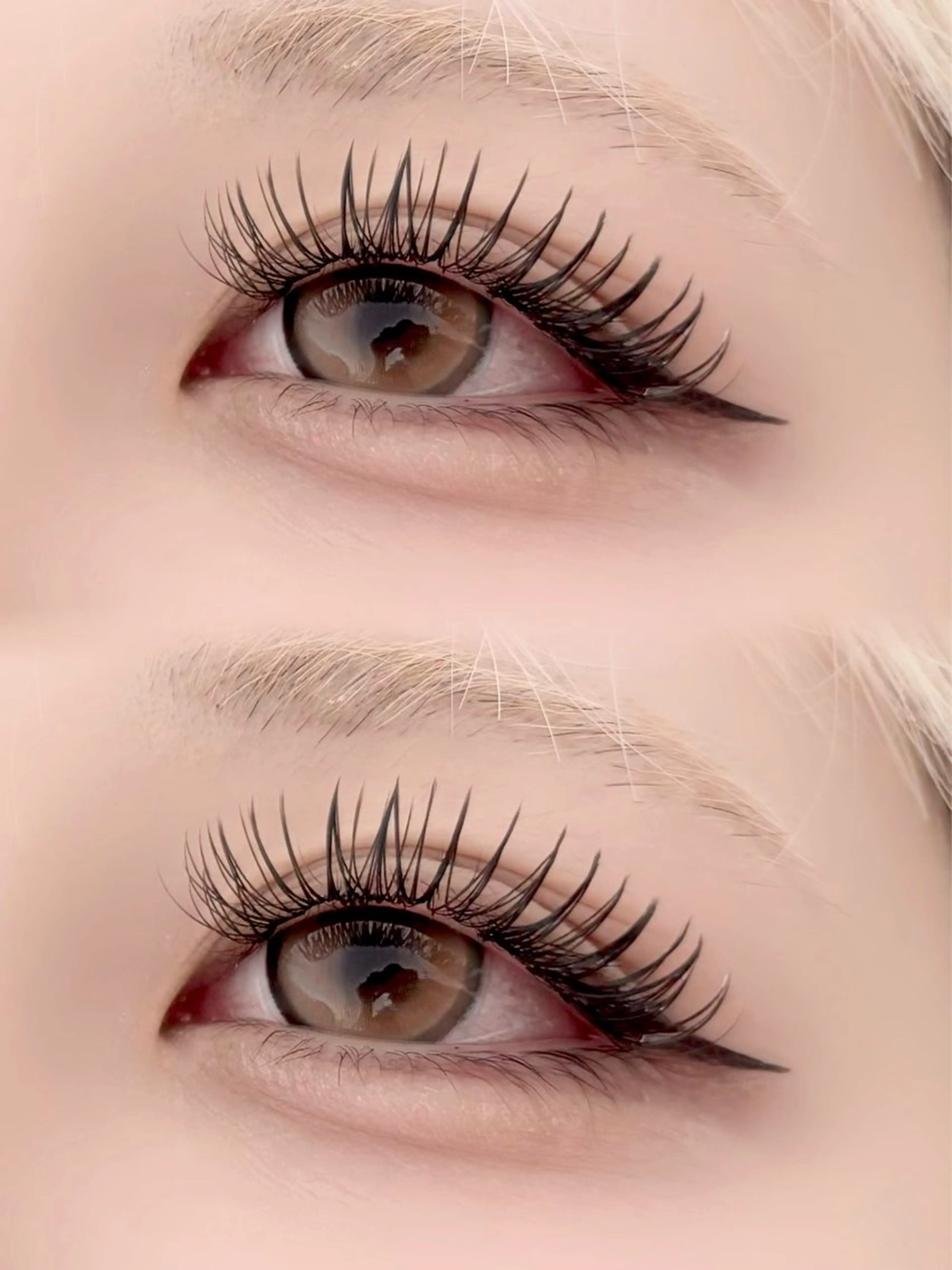 【持続力×ボリューム】メガフラットラッシュ付け放題(オフ込み)の写真