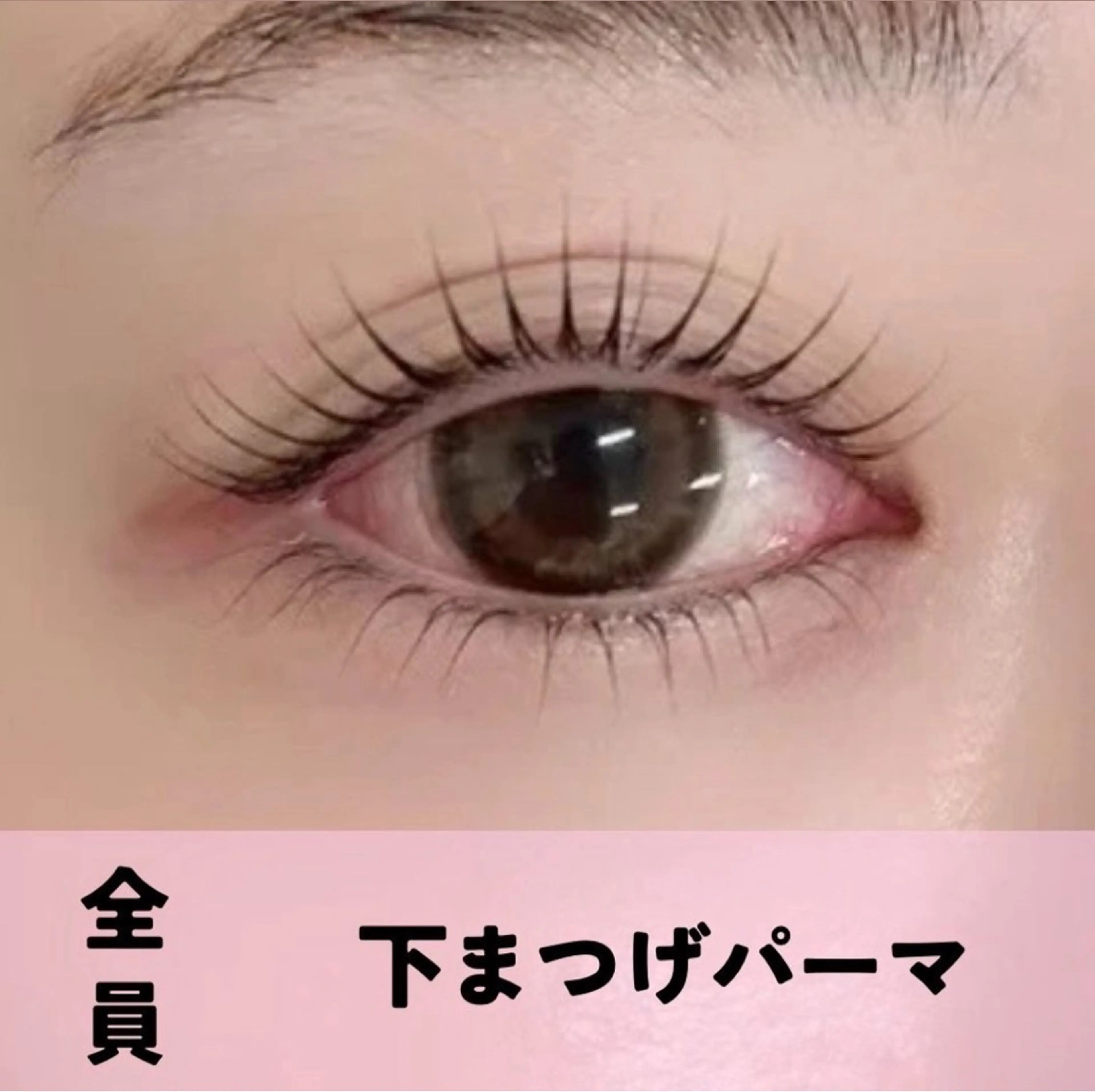 マツエク・マツパ マツパ Yura/ パリジェンヌ/美眉のマツエク・マツパデザイン