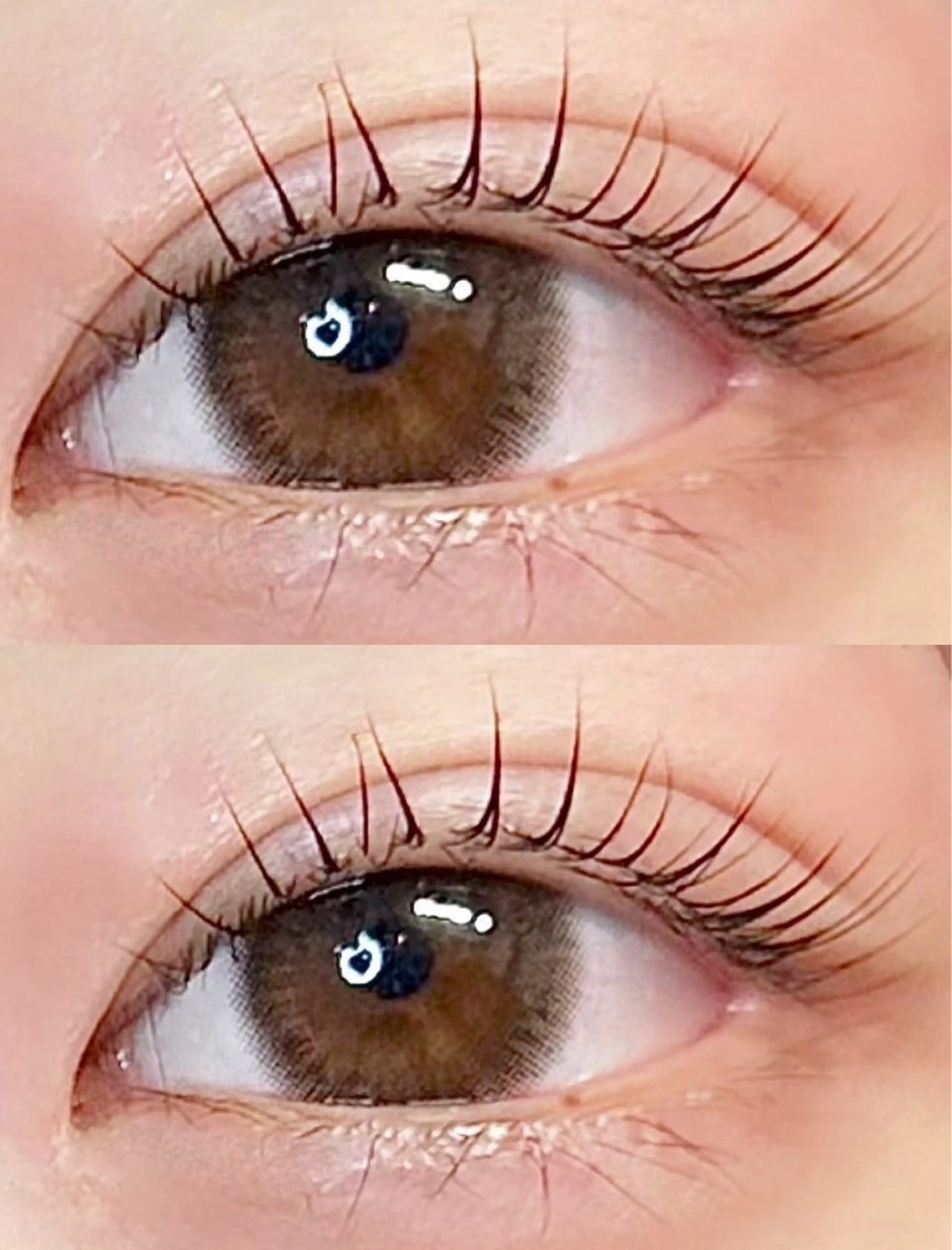 マツエク・マツパ まつげパーマ eve🐰束間まつ毛 /透明感カラーのマツエク・マツパデザイン