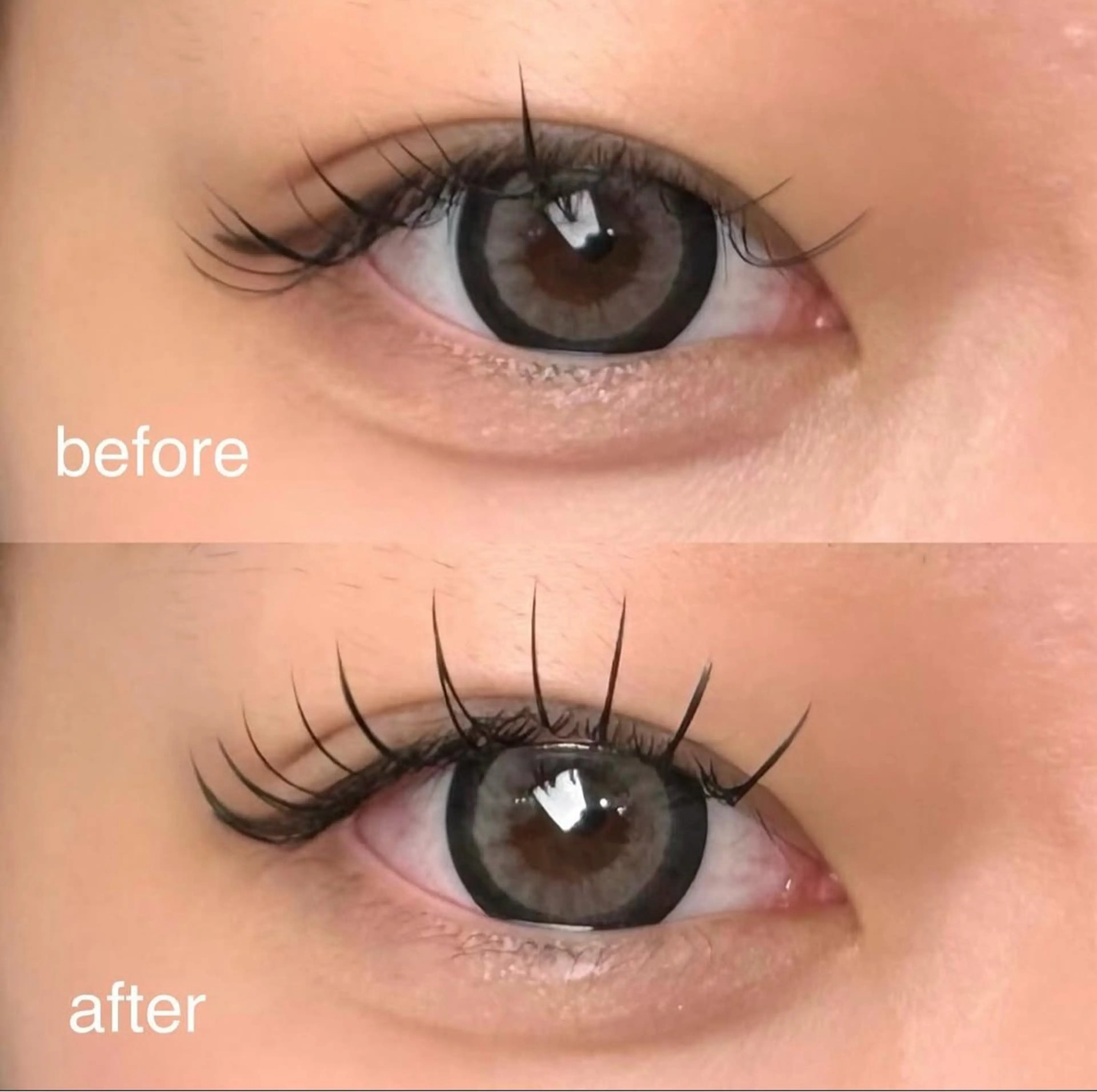 エクステ⚠️本数指定不可⚠️の写真