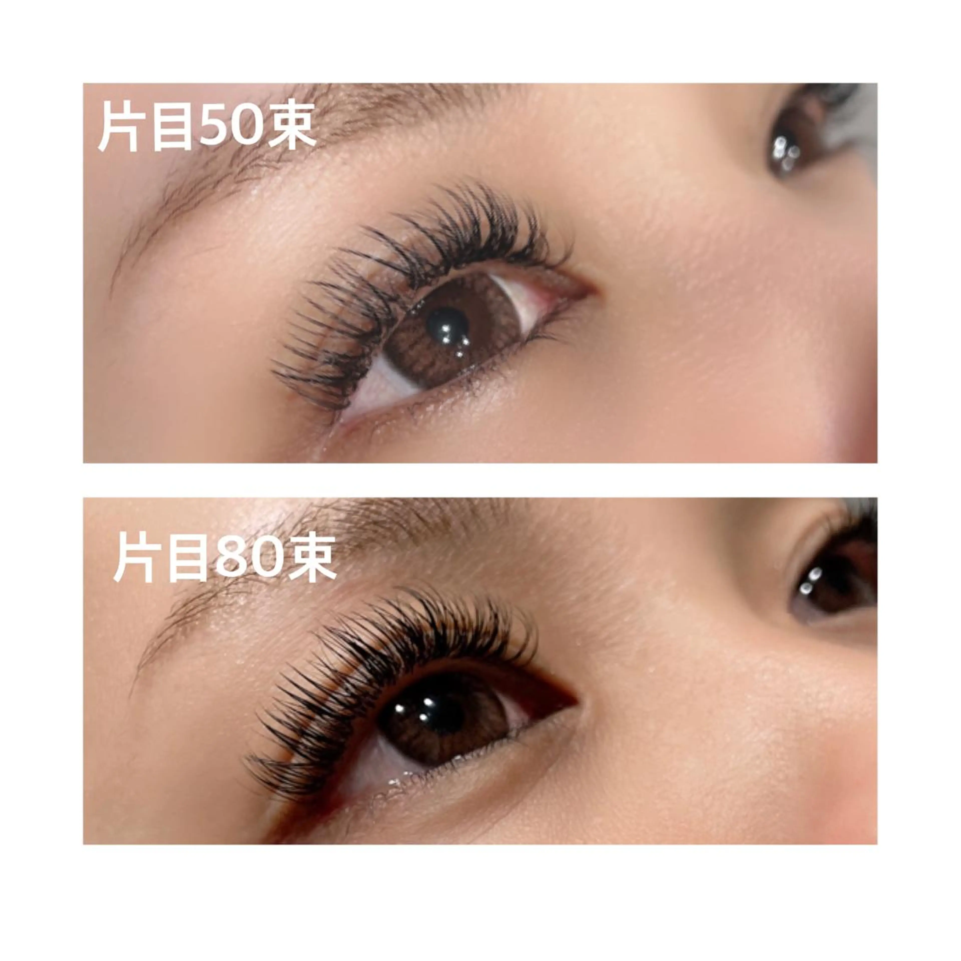 マツエク・マツパ ボリュームラッシュ マツエク 💕丸島 夏名🐰🍀のマツエク・マツパデザイン