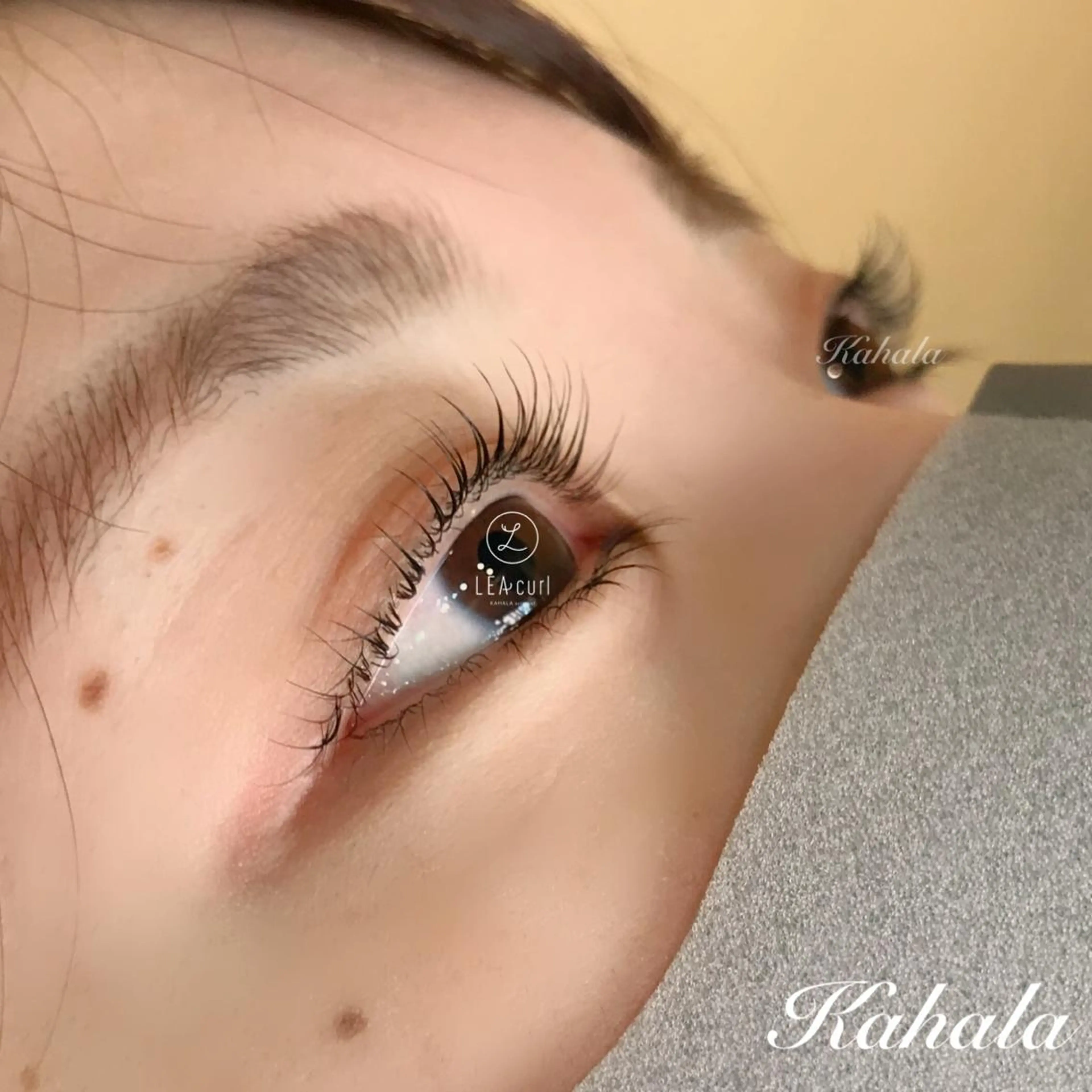 マツエク・マツパ Fujimoto 🦭⸝⋆꙳のマツエク・マツパデザイン