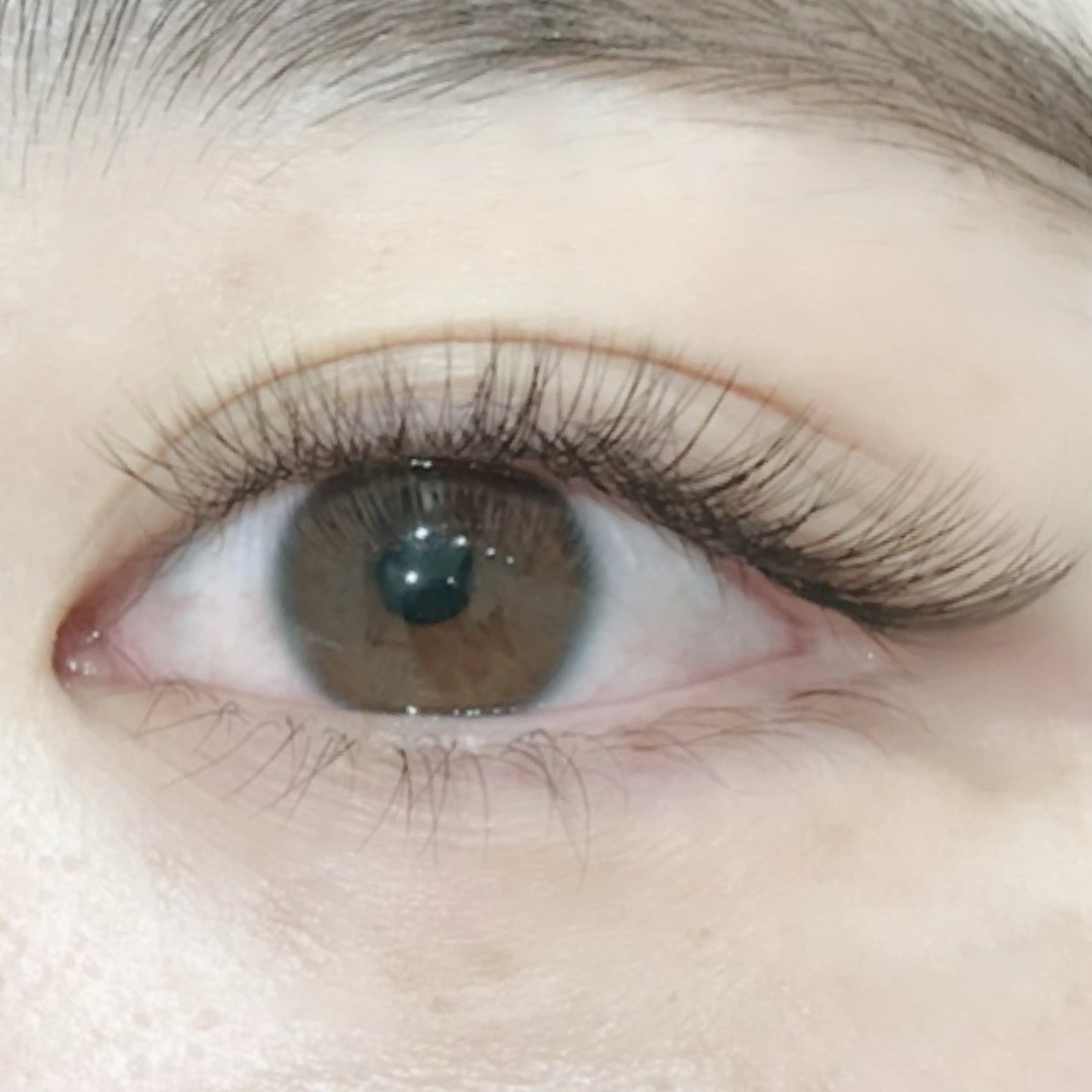 4Dボリュームラッシュ120束 無料モデルさん募集🎀必ず注意事項のご確認お願いします⚠️の写真