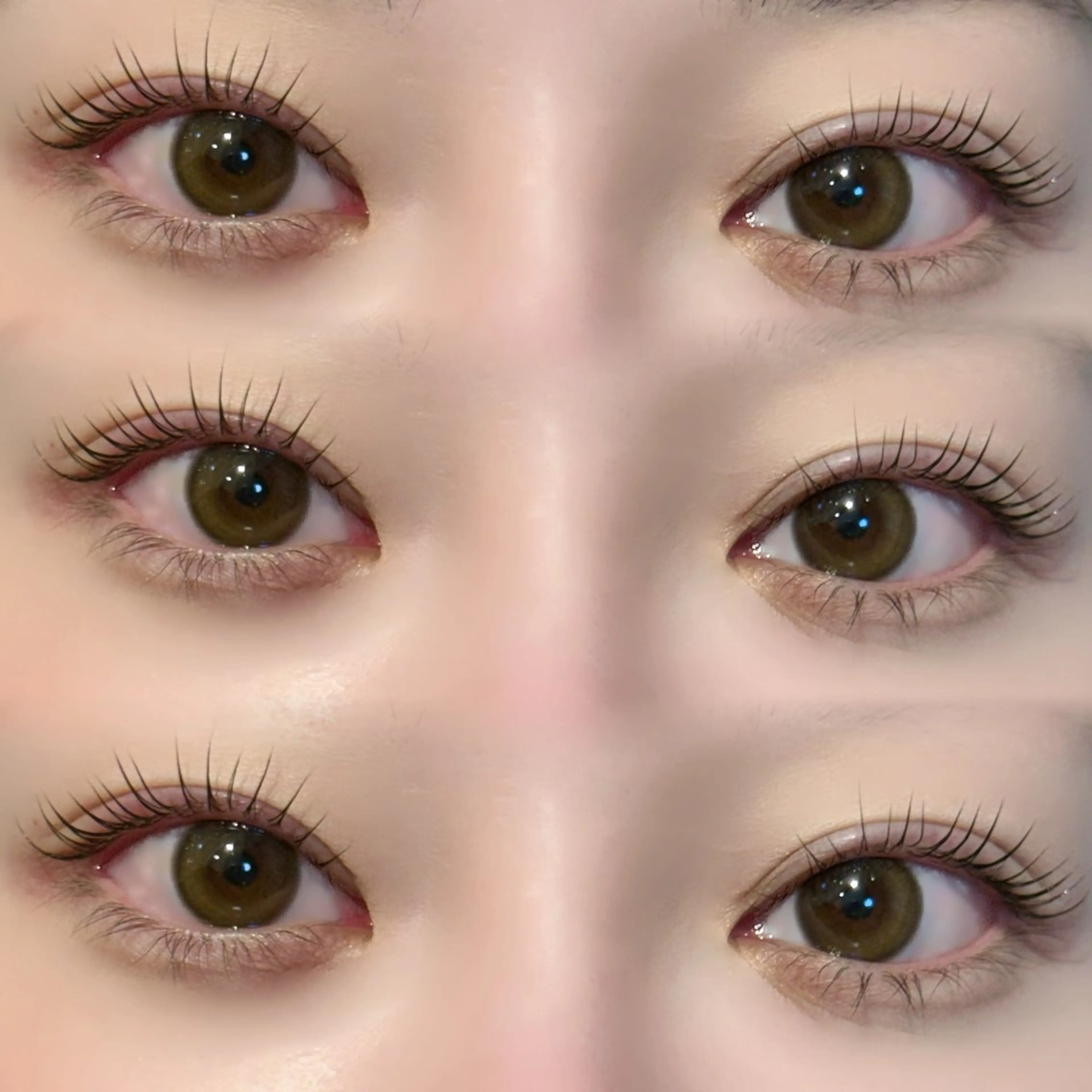 🫧パリジェンヌorラッシュリフト🫧コーティング付き♡ minimo限定価格 リピーター様＋500円の写真