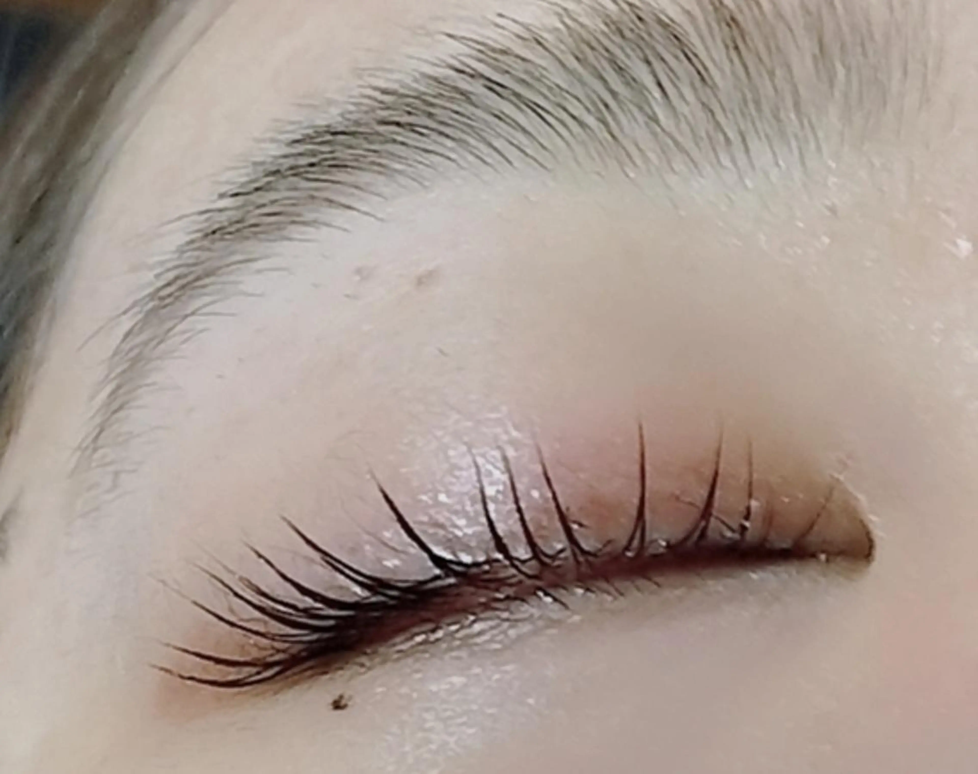 マツエク・マツパ foi by eyeartistsのマツエク・マツパデザイン