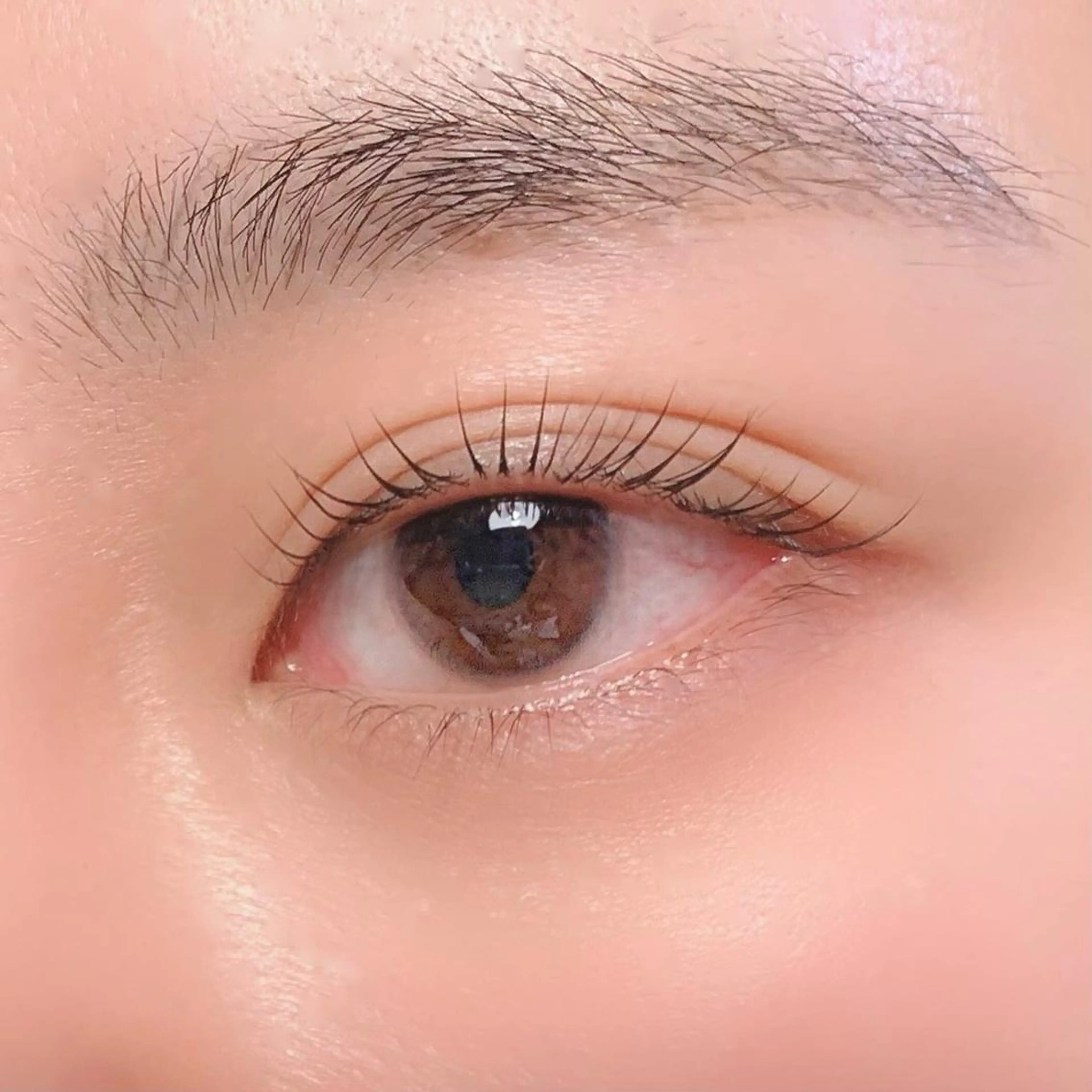 マツエク・マツパ ナチュラル ワックス脱毛 眉カット その他(アイブロウ) Allma eyeのマツエク・マツパデザイン