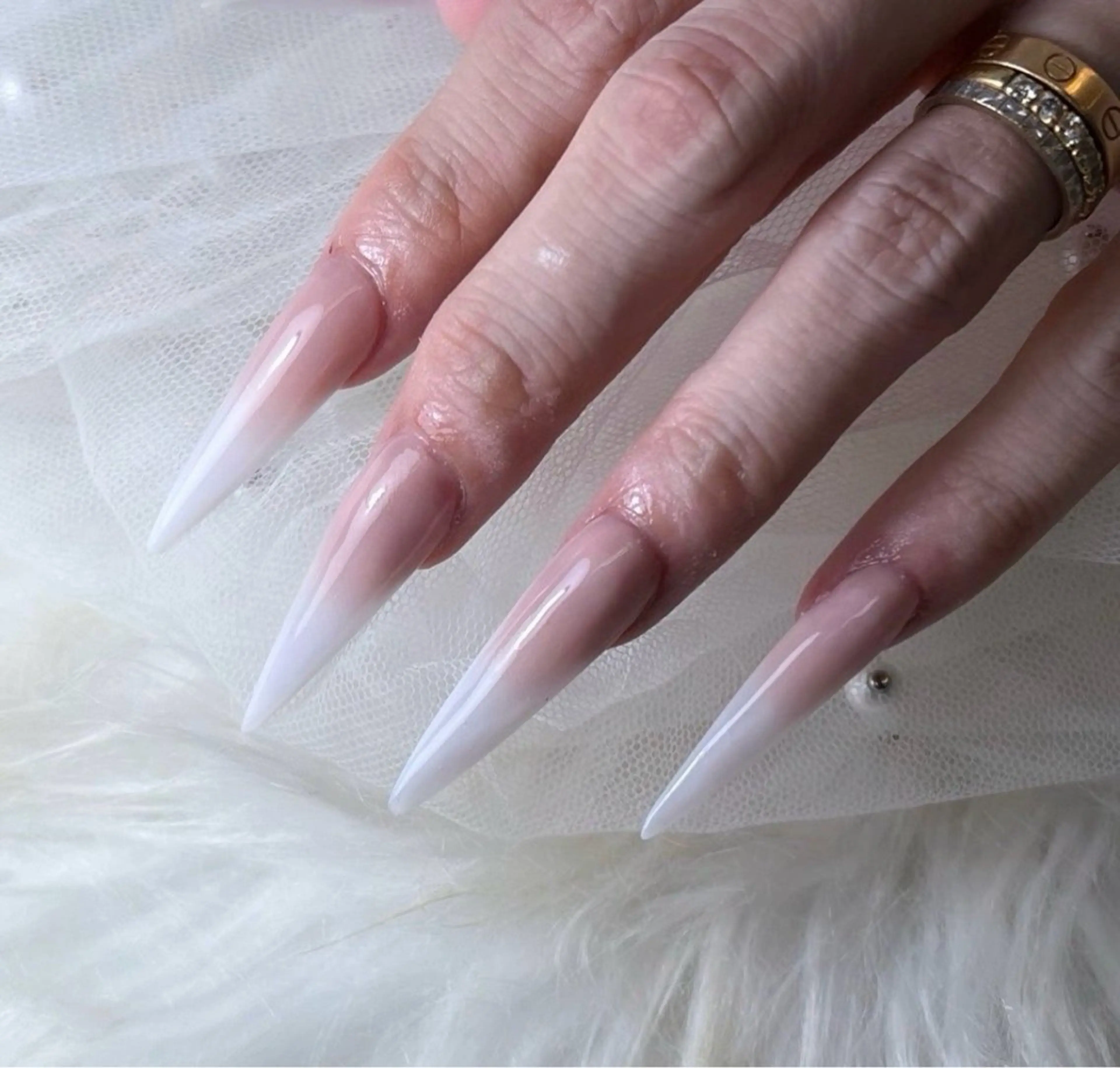 スカルプベイビーブーマーの写真