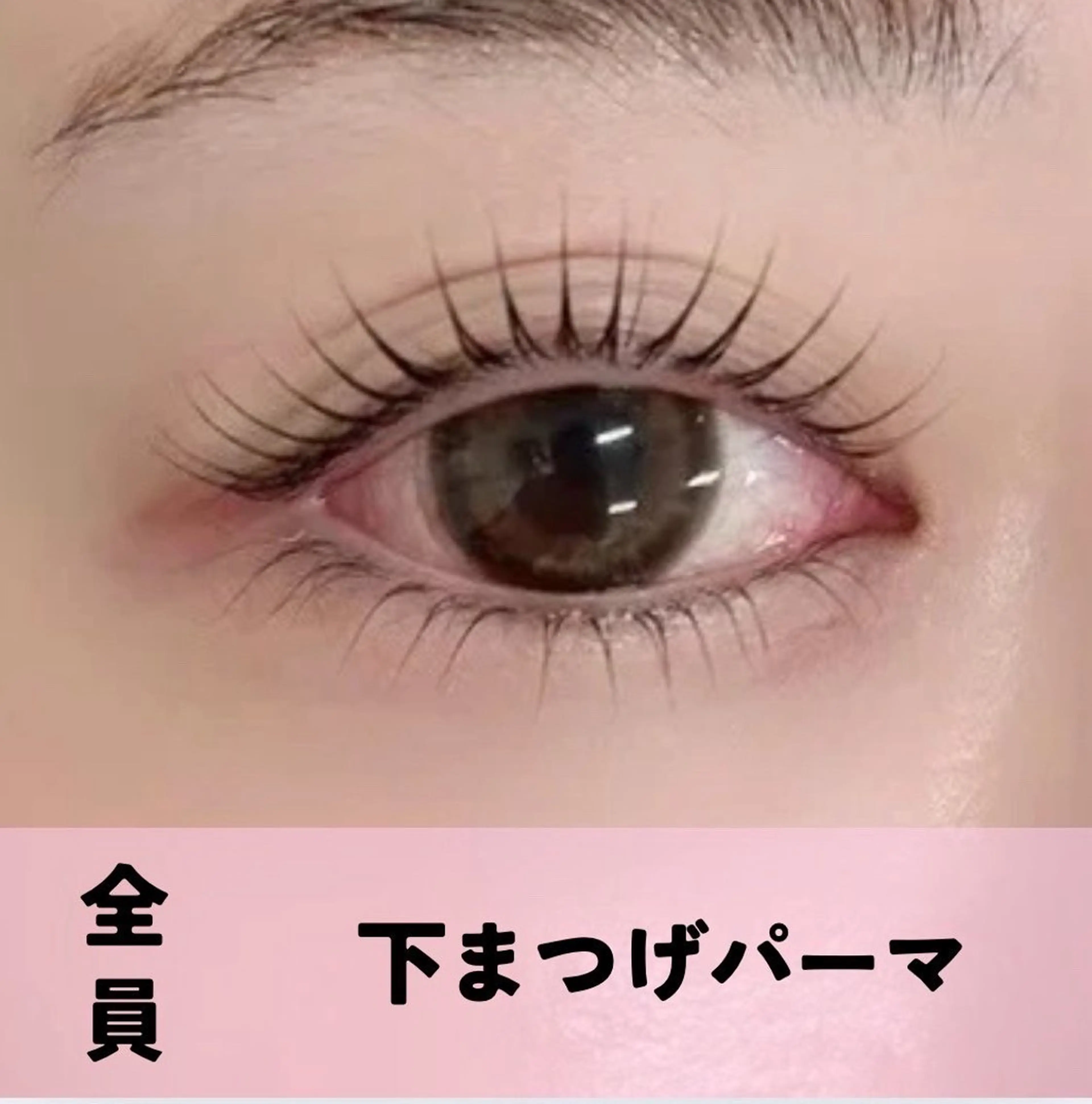 【下まつ毛】パリジェンヌラッシュリフト(WケアTR付)¥5500(60分)の写真