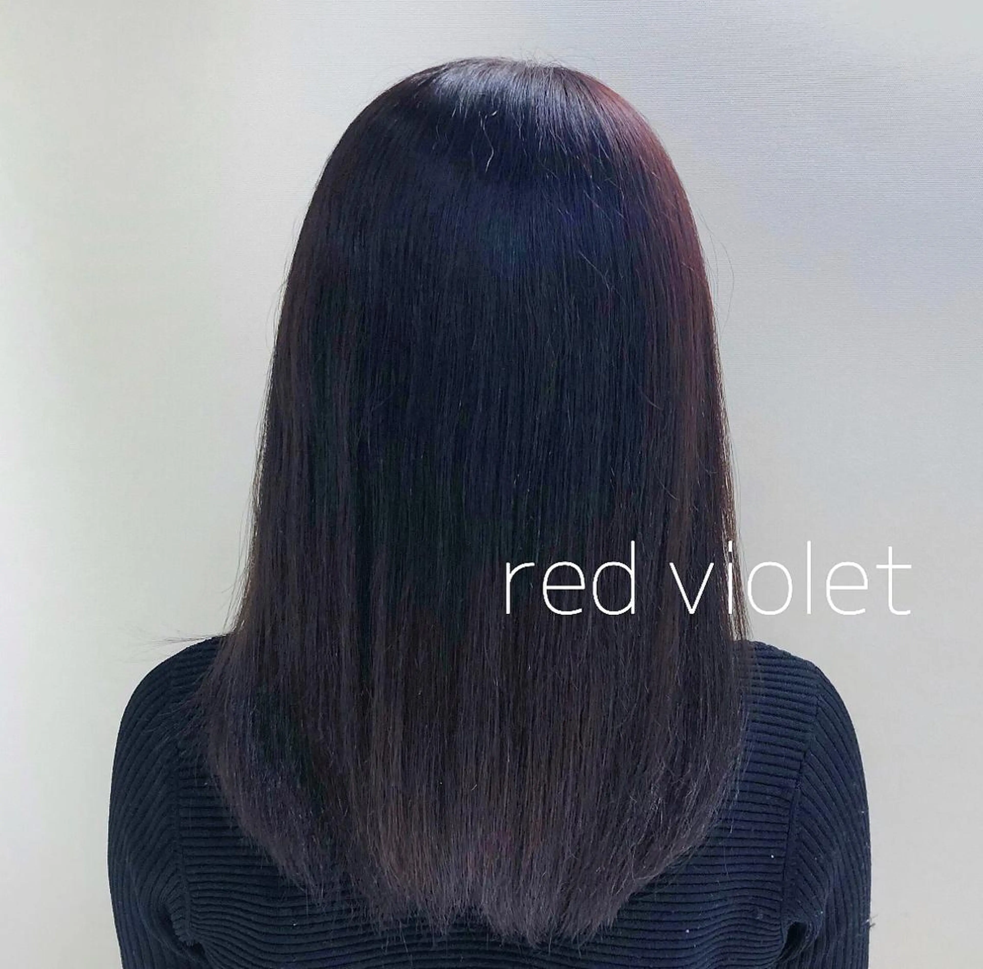 セミロング カラー レッドカラー バイオレットカラー 韓国風ヘア 🇰🇷清水しいなのヘアスタイル