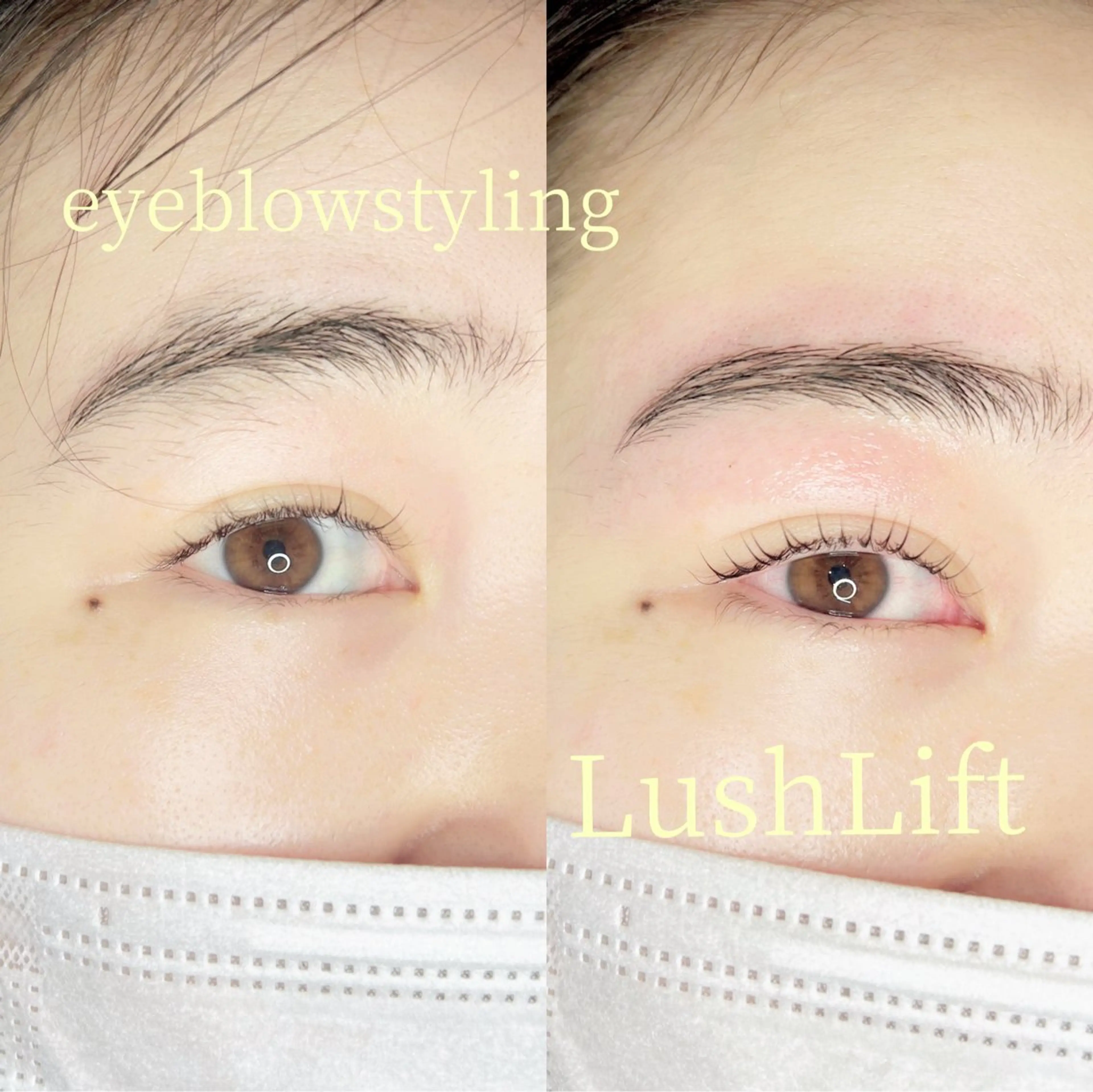 【期間限定メニュー】HBL眉パーマ(ワックス脱毛付き）＋上まつ毛パーマorパリジェンヌの写真