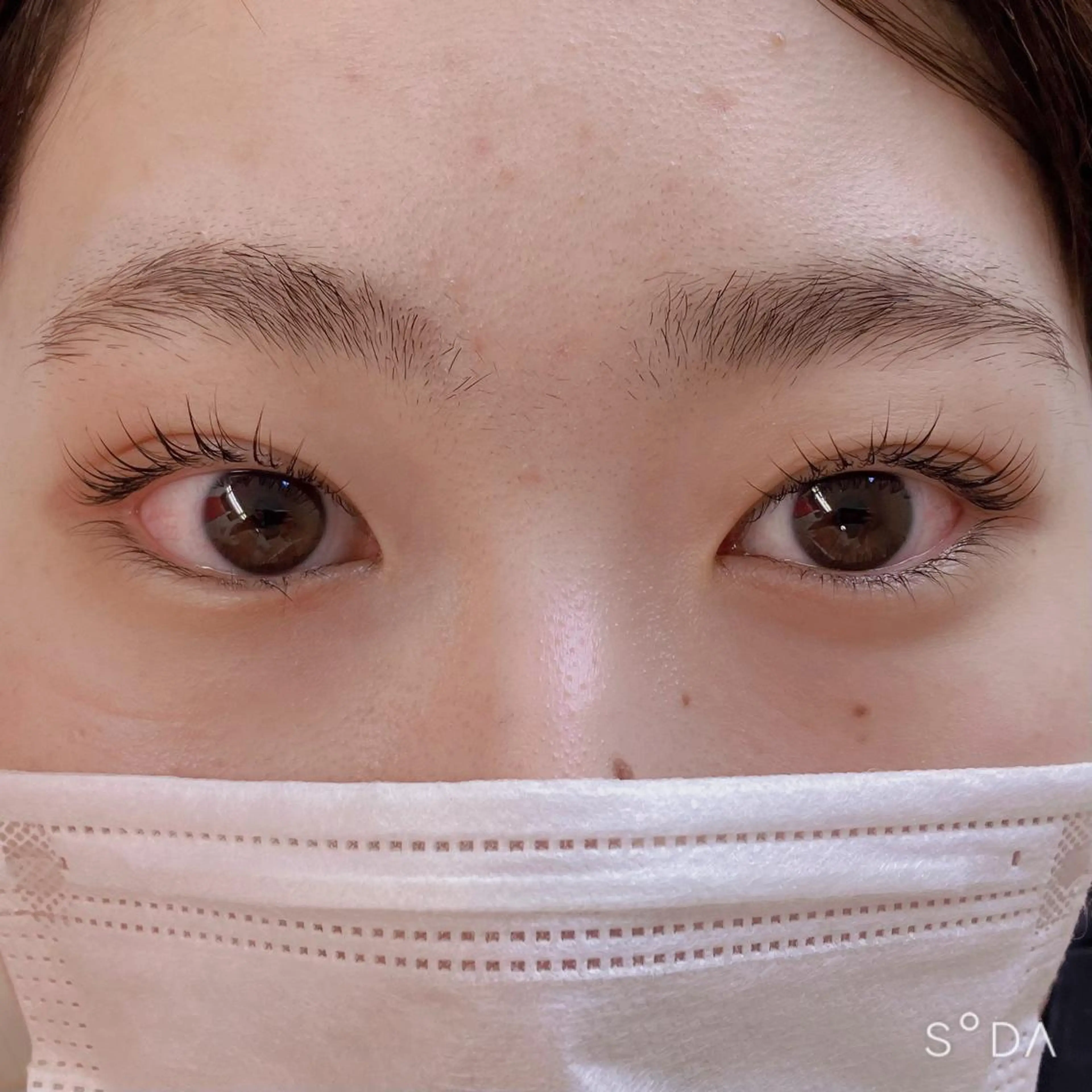 マツエク・マツパ ケラチンラッシュリフト マツパ フジ ワラの眉毛・アイブロウイメージ