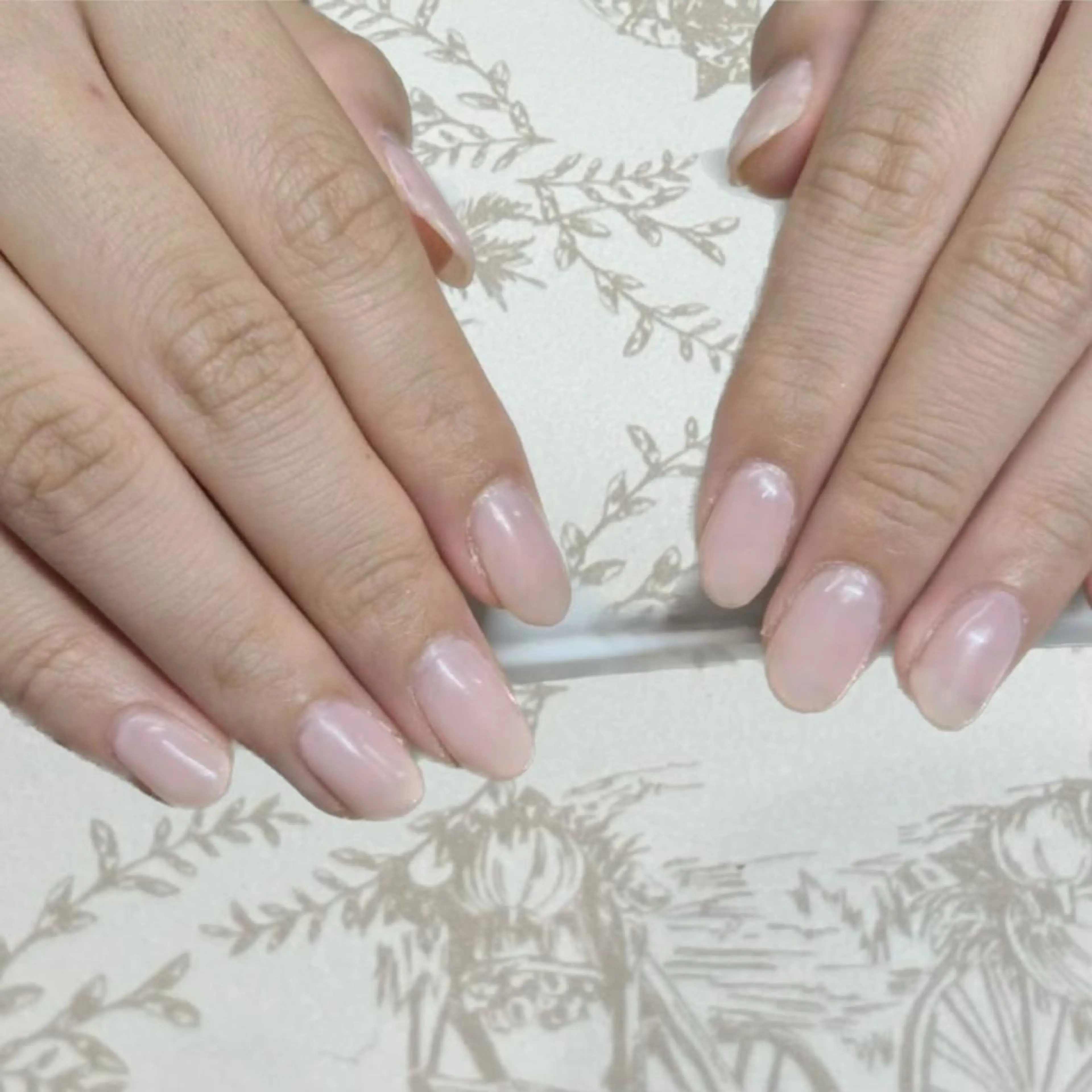 オフ込み ワンカラーの写真