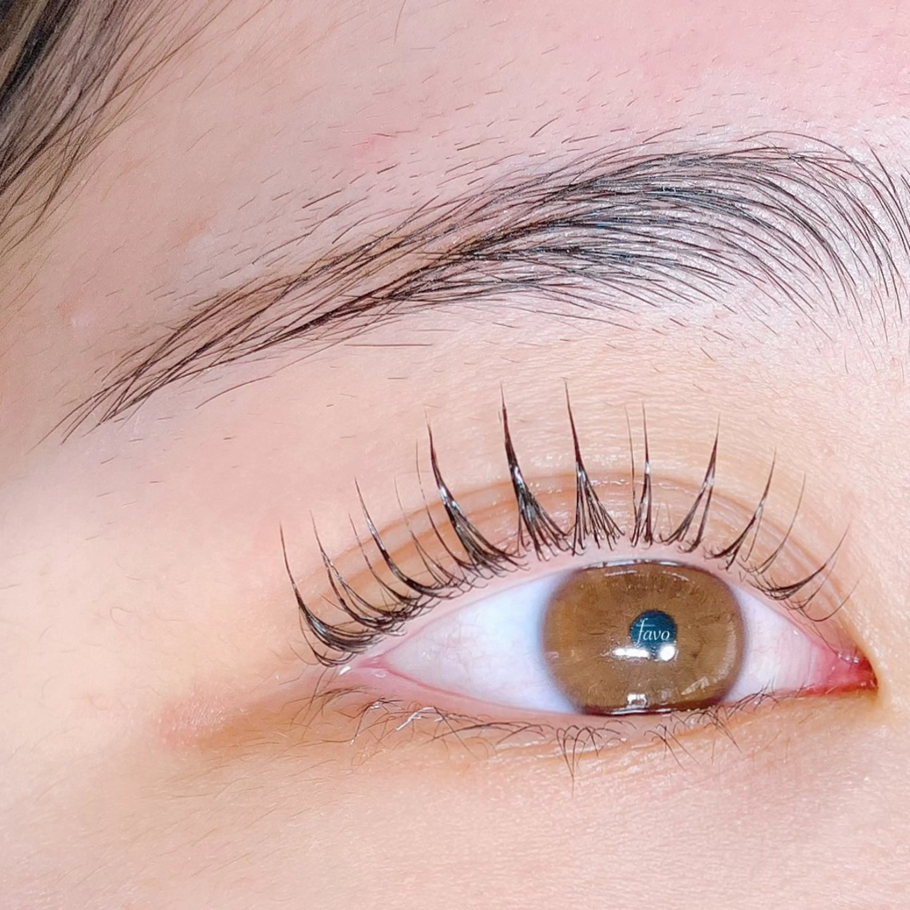 マツエク・マツパ マツパ ∞favo∞ eyelash🏝️のマツエク・マツパデザイン