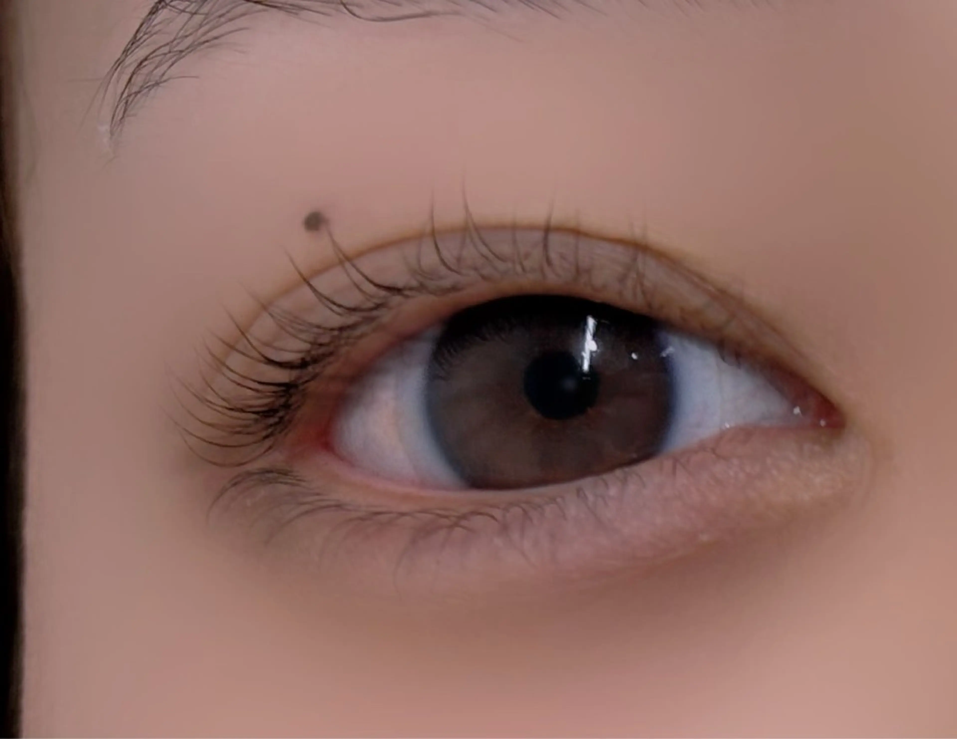 マツエク・マツパ abeille 西條のマツエク・マツパデザイン