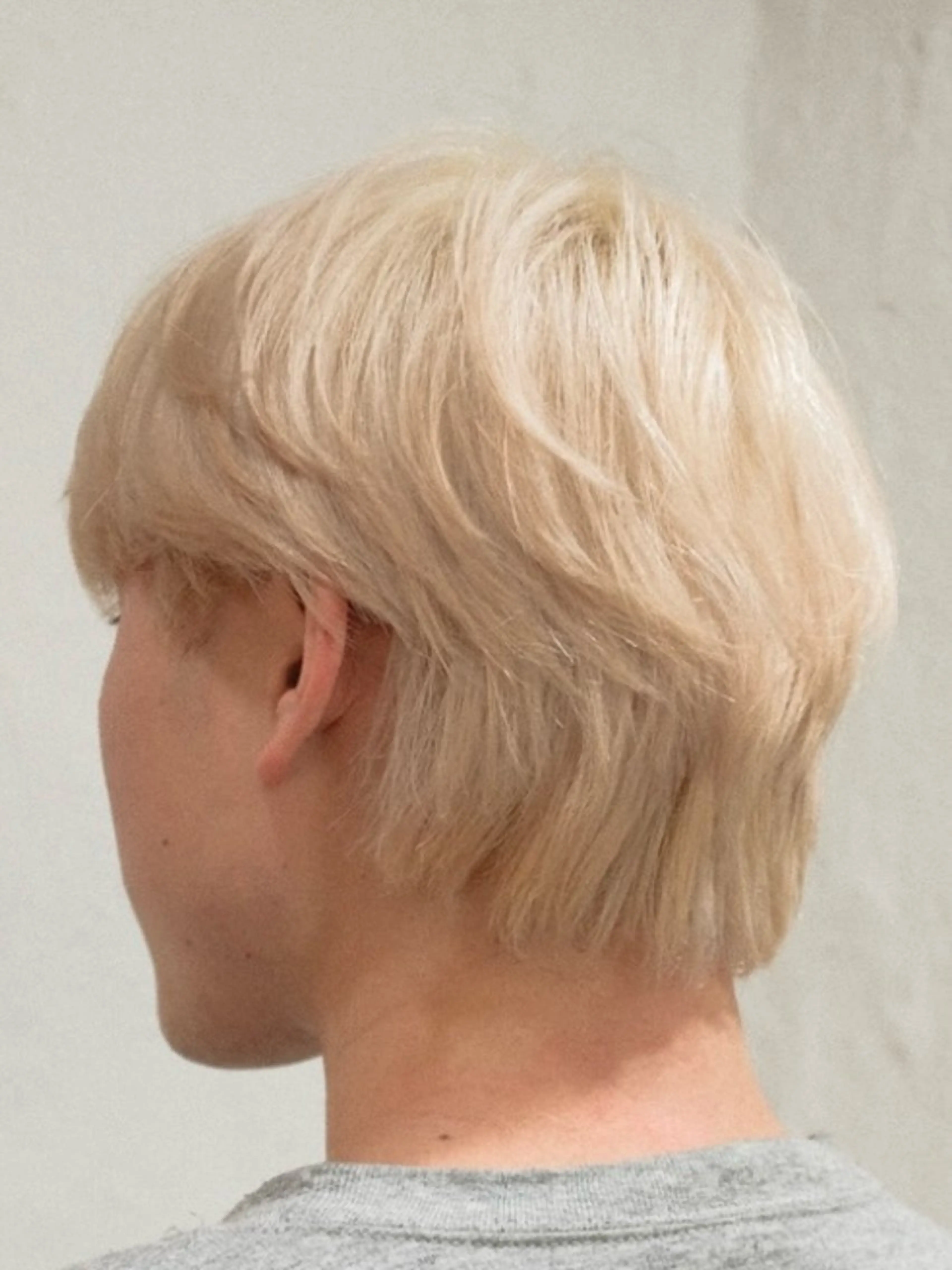 ミディアム カラー ヘアアレンジ メンズ ヘアカラー トリートメント HAIR SALON fuugaせんげん台店所属・ハイトーン/デザイン カラー/あおいのヘアスタイル
