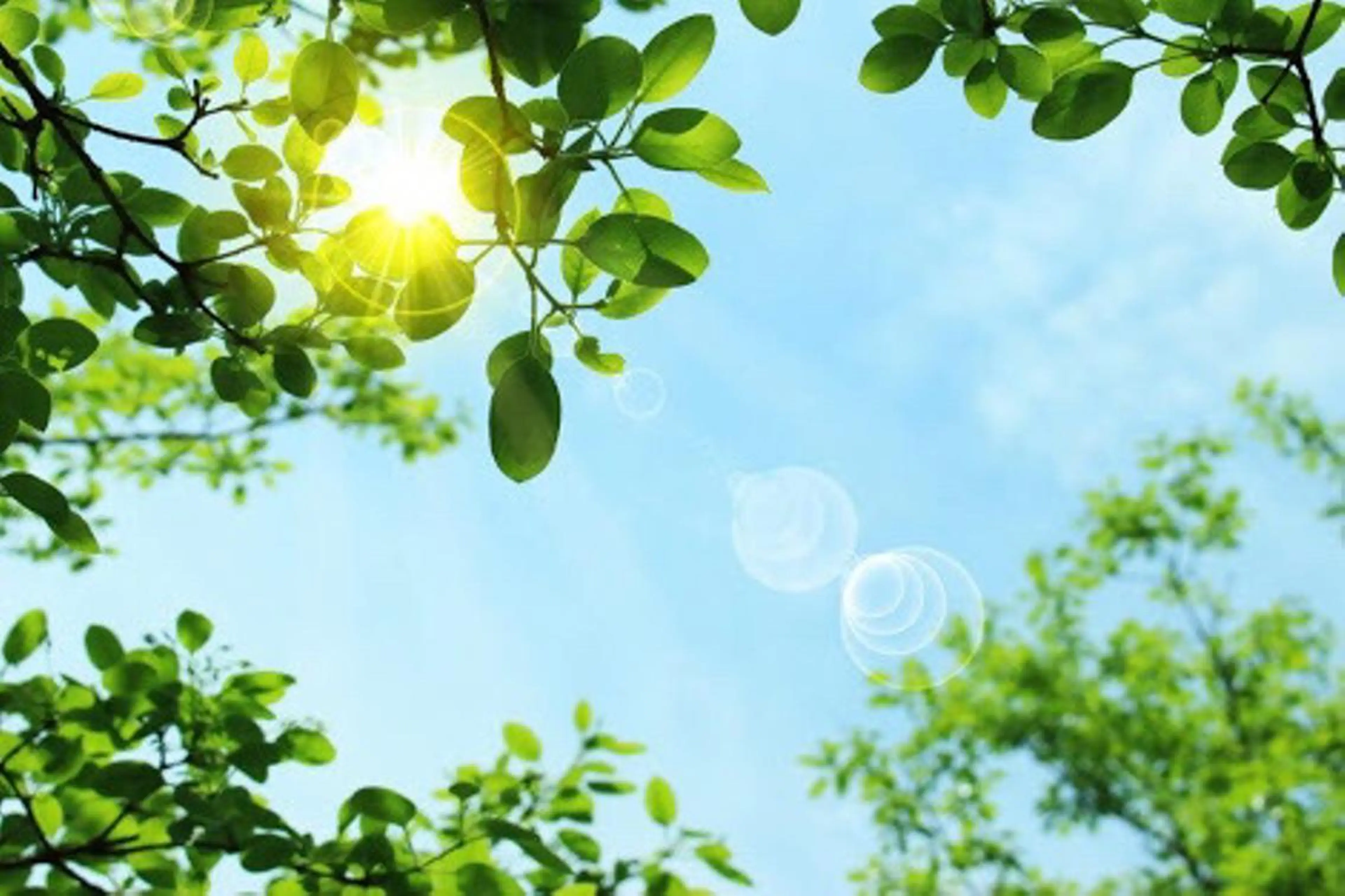 岩井 秋子のエステ・リラクイメージ