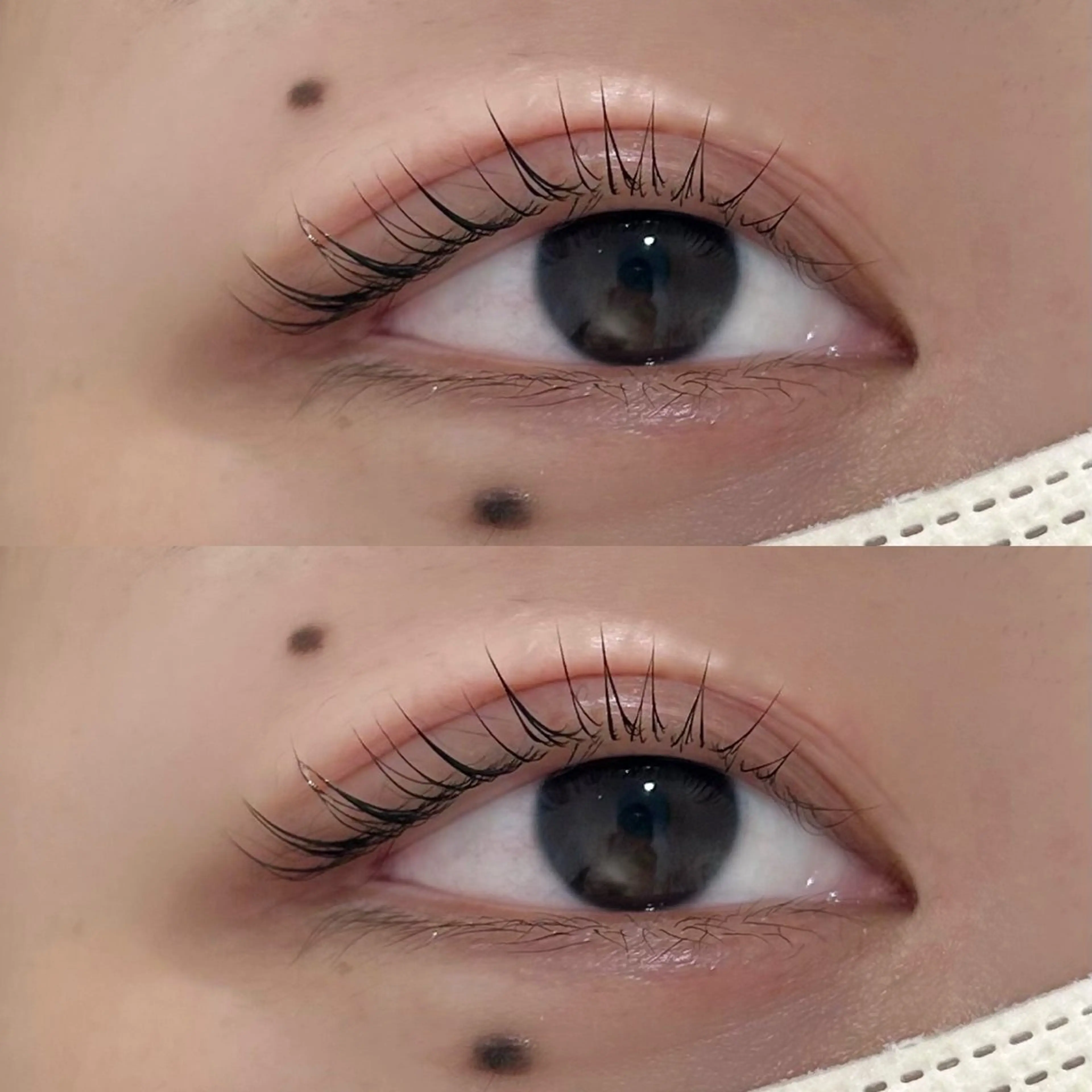 マツエク・マツパ マツパ SUGAR 綱崎愛音のマツエク・マツパデザイン