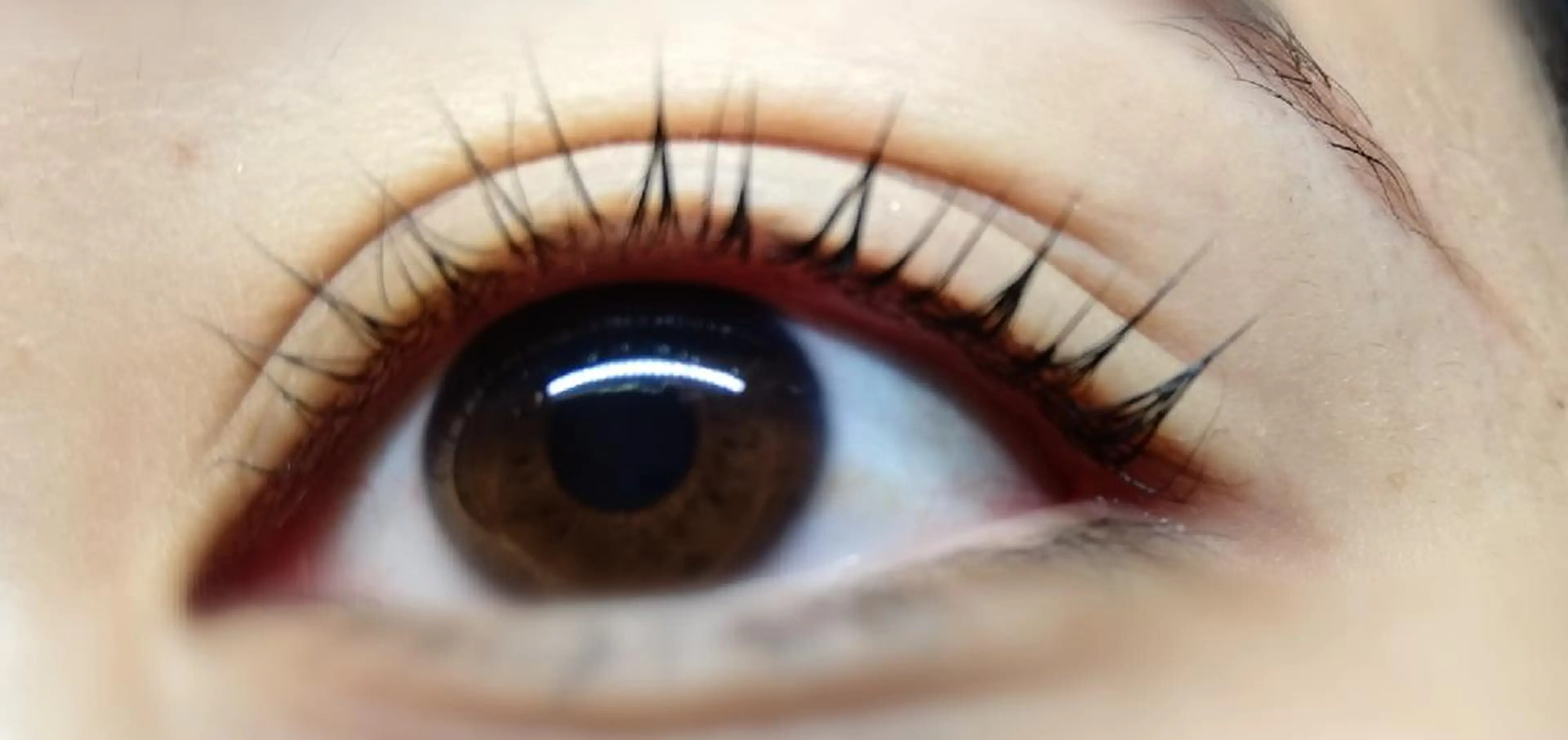 マツエク・マツパ Lカール angelux 所属・完全個室サロン🌹 angelux🌹のマツエク・マツパデザイン